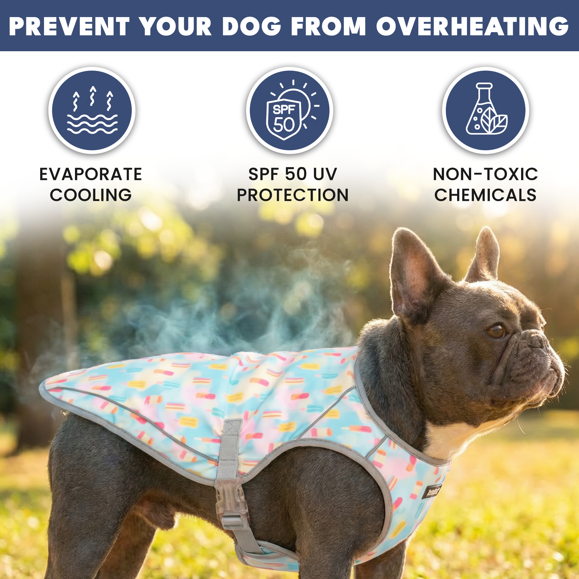 Dog Cooling Vest - Popsicles - Image 5