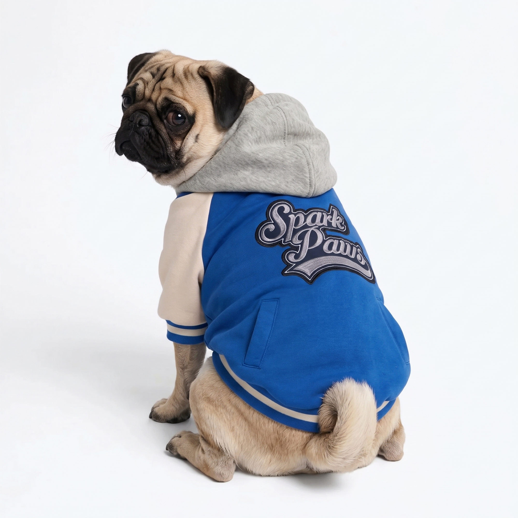 Dog Varsity Jacket - Blue - Image 4