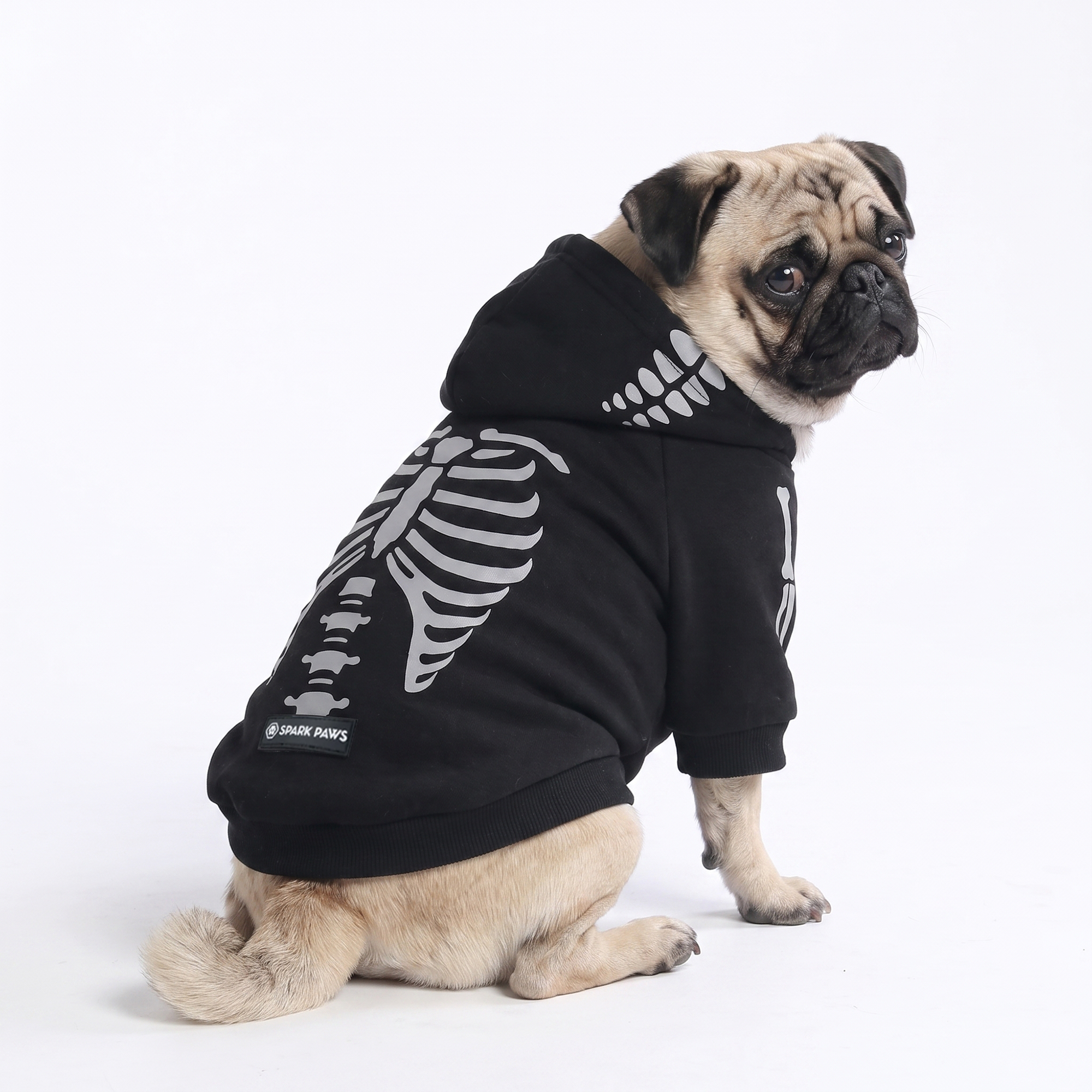 Halloween Dog Hoodie - Reflective Skeleton - Image 4