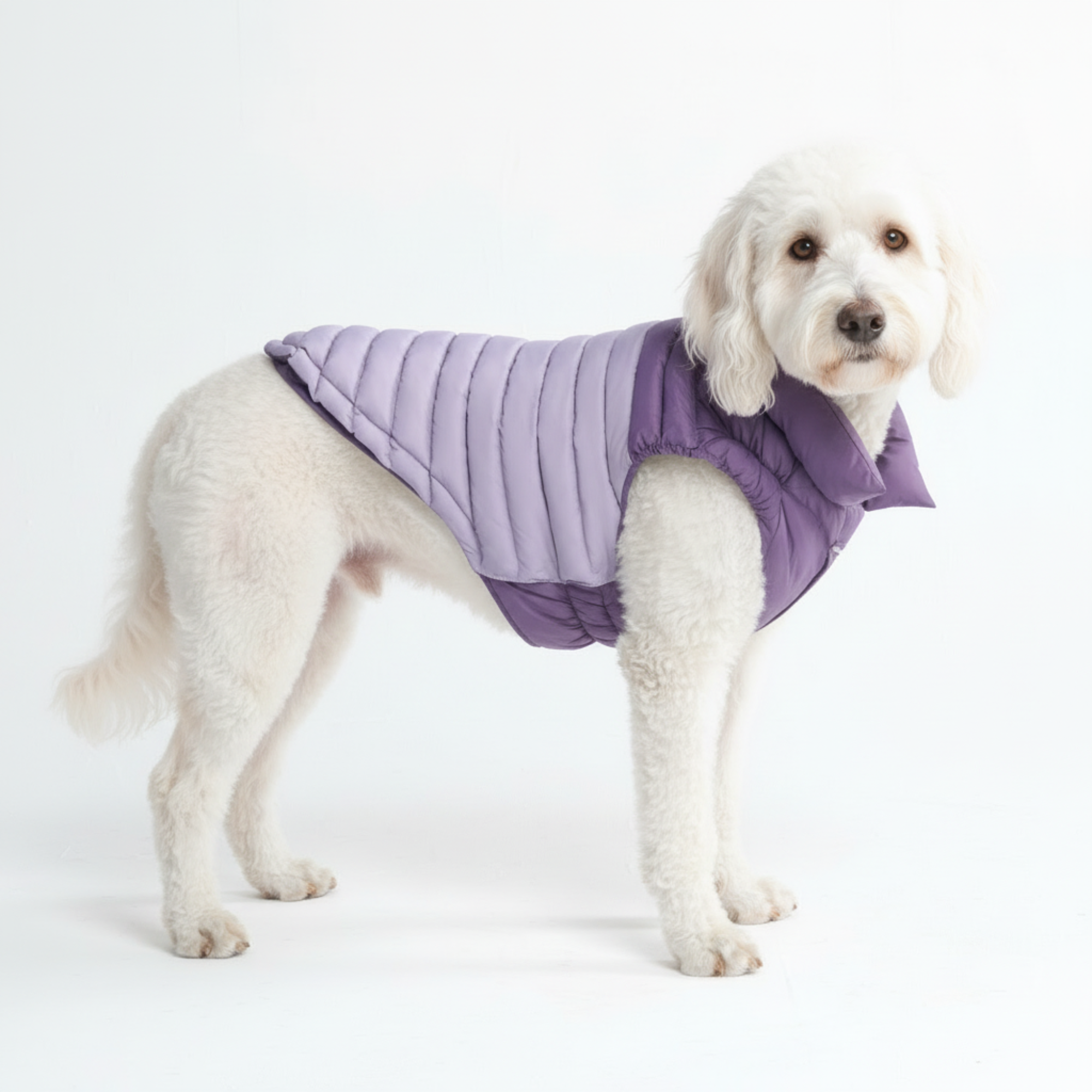 PuffShield Winter Jacket - Purple - Image 3