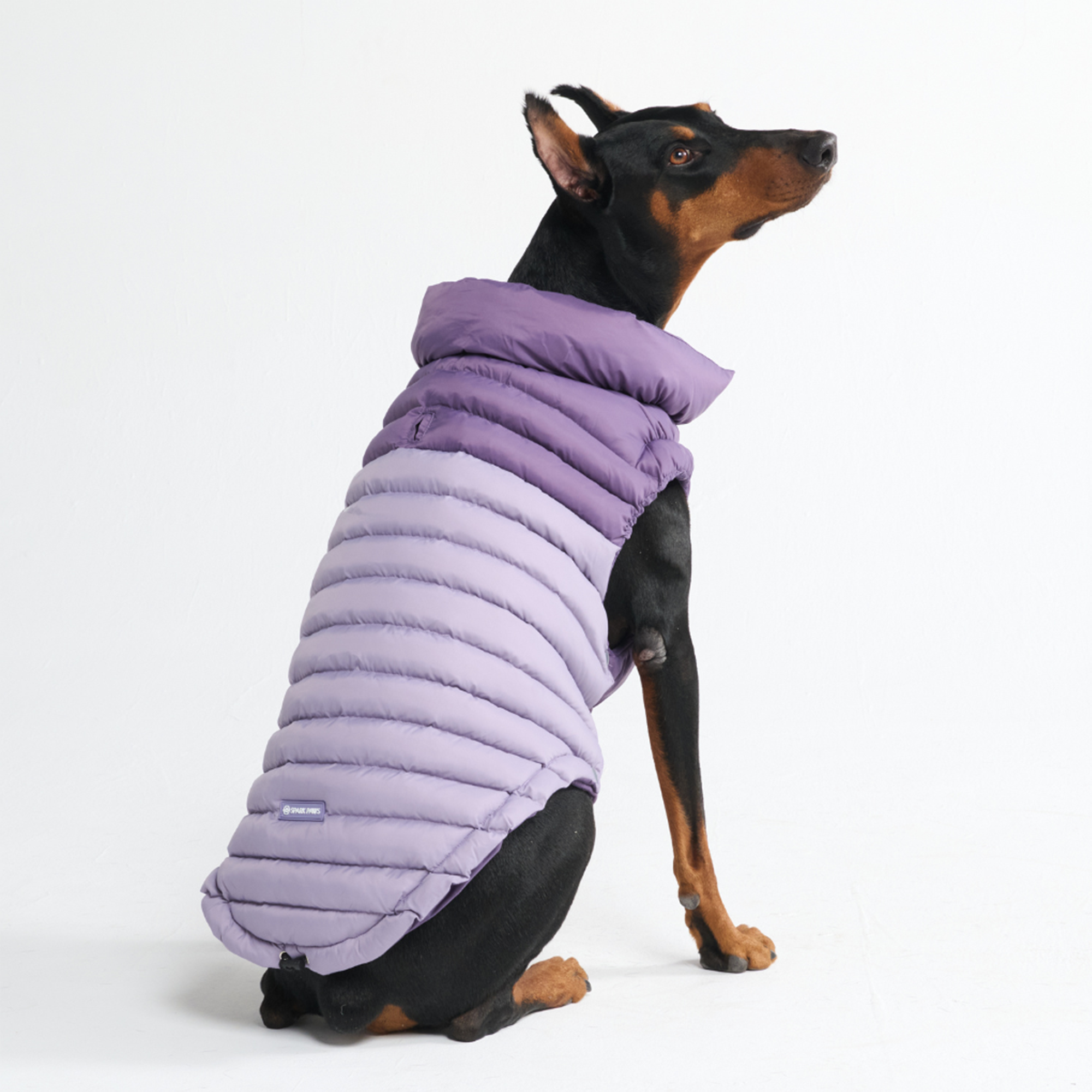 PuffShield Winter Jacket - Purple - Image 4
