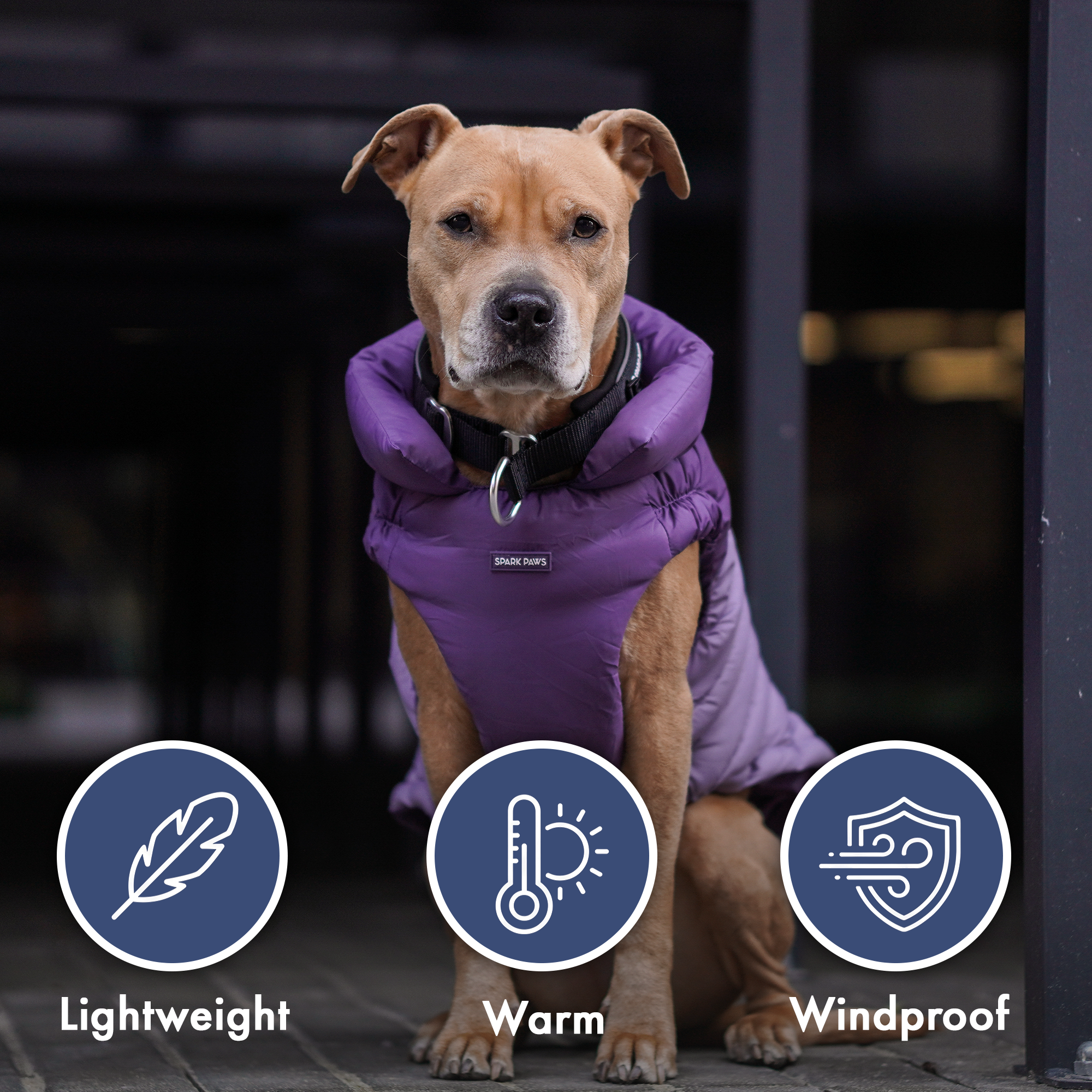 PuffShield Winter Jacket - Purple - Image 8