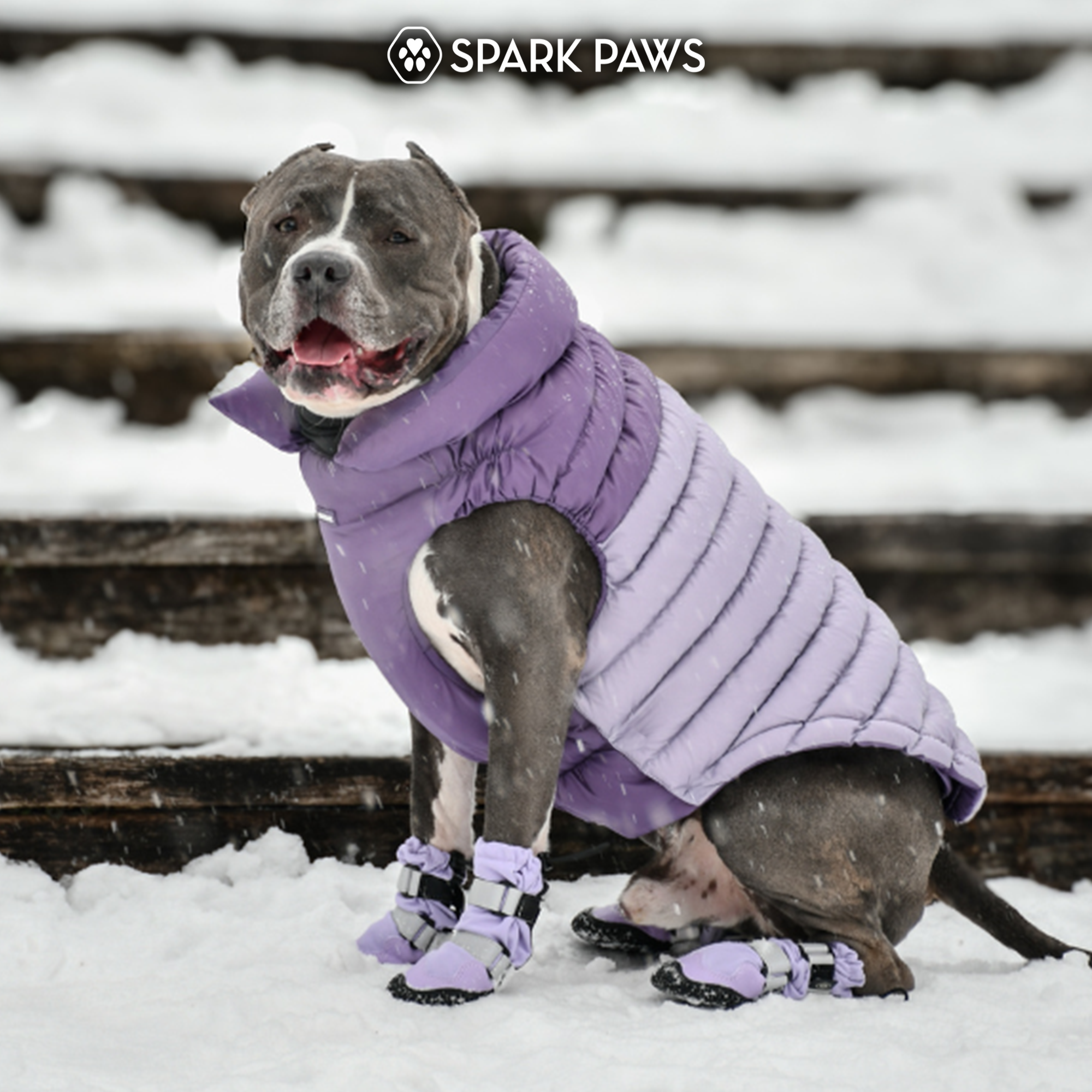 PuffShield Winter Jacket - Purple - Image 9