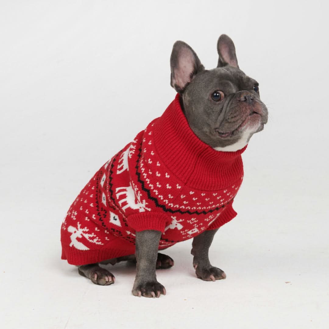 Knit Christmas Dog Sweater - Dasher Red - Image 6