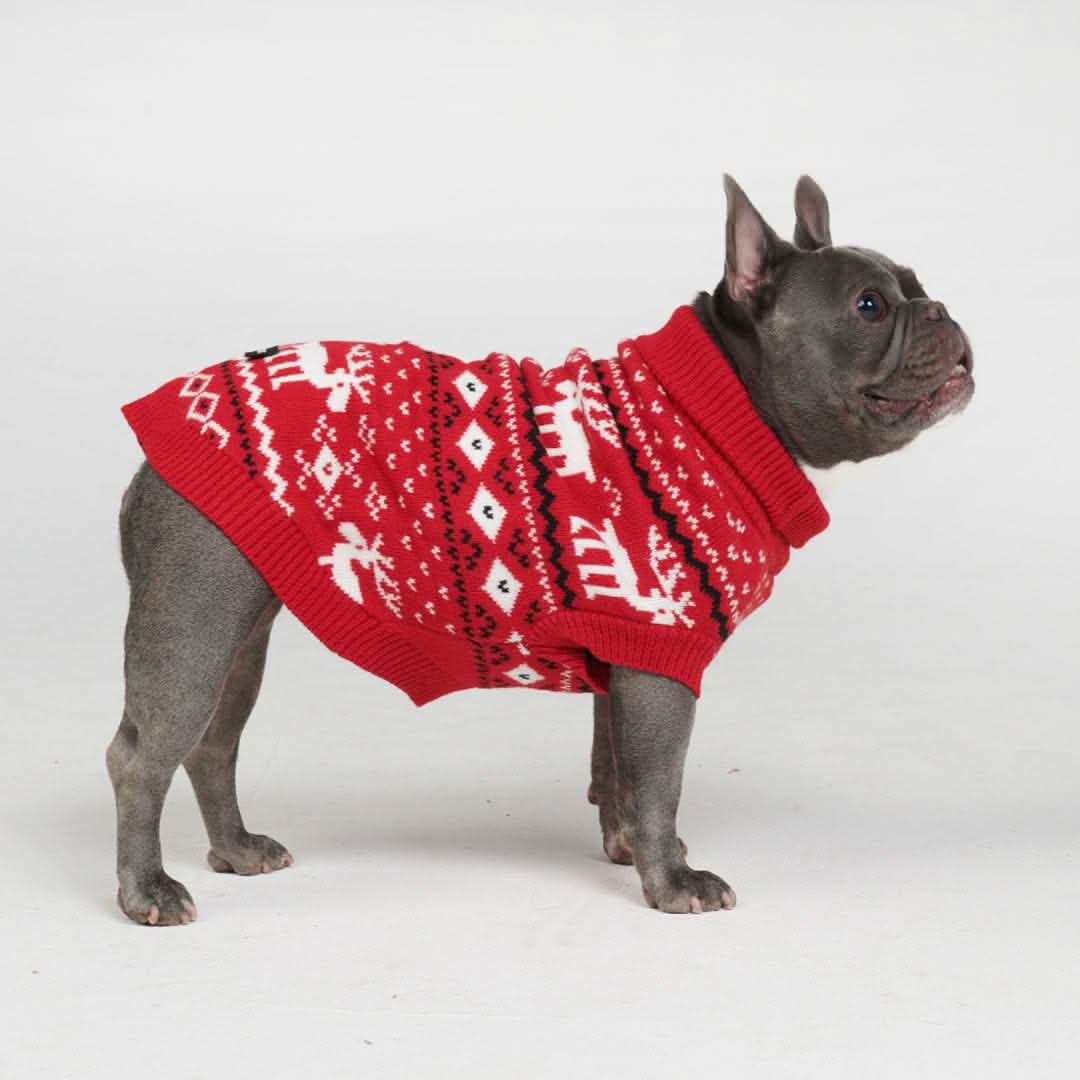 Knit Christmas Dog Sweater - Dasher Red - Image 4