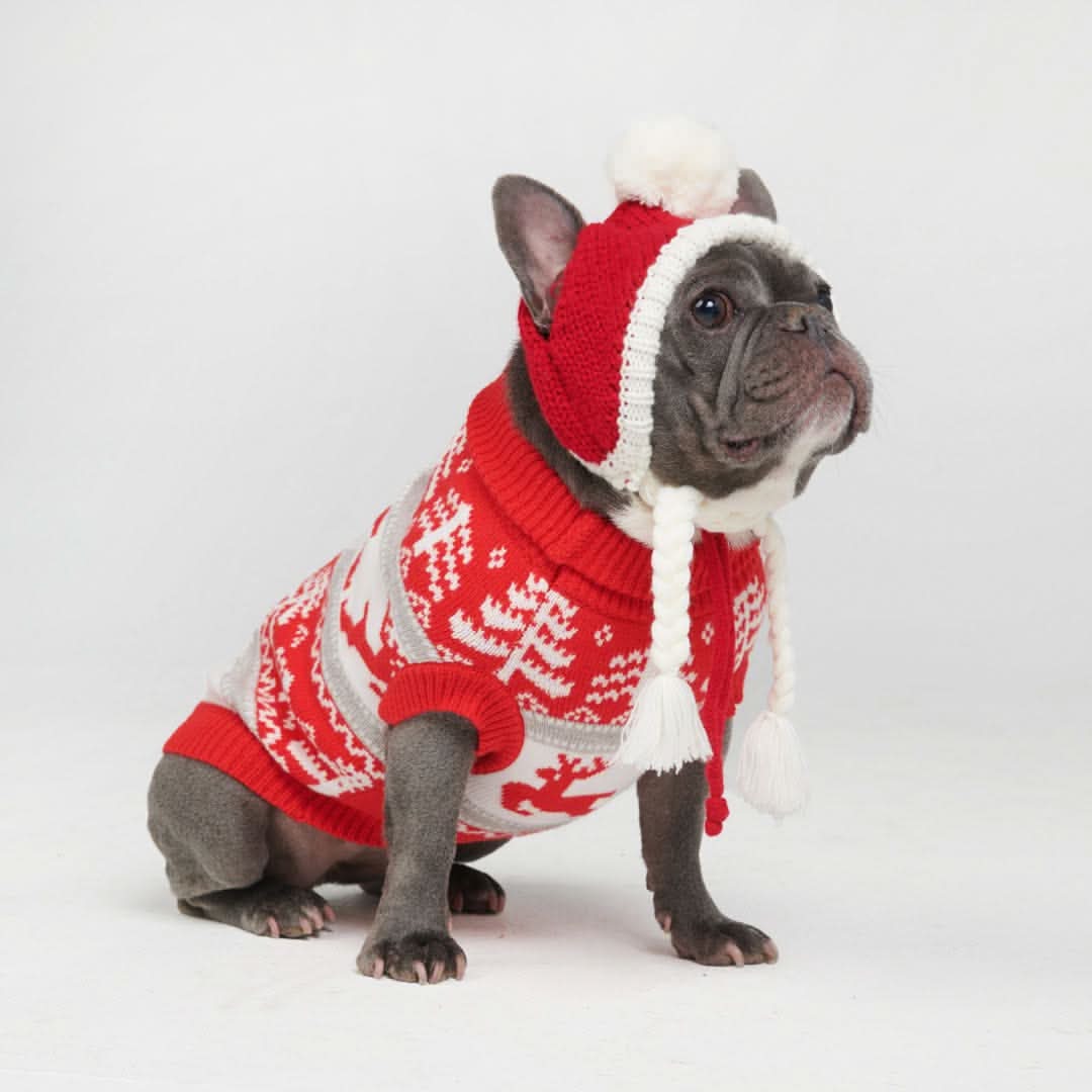 Winter Christmas Wonderland Knit Dog Sweater - Image 3
