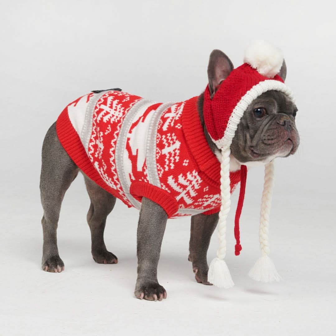 Winter Christmas Wonderland Knit Dog Sweater - Image 5