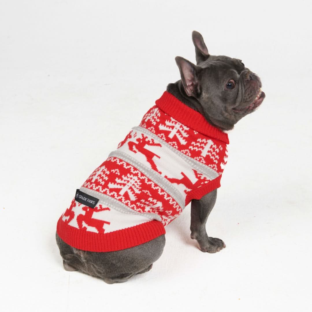 Winter Christmas Wonderland Knit Dog Sweater - Image 4