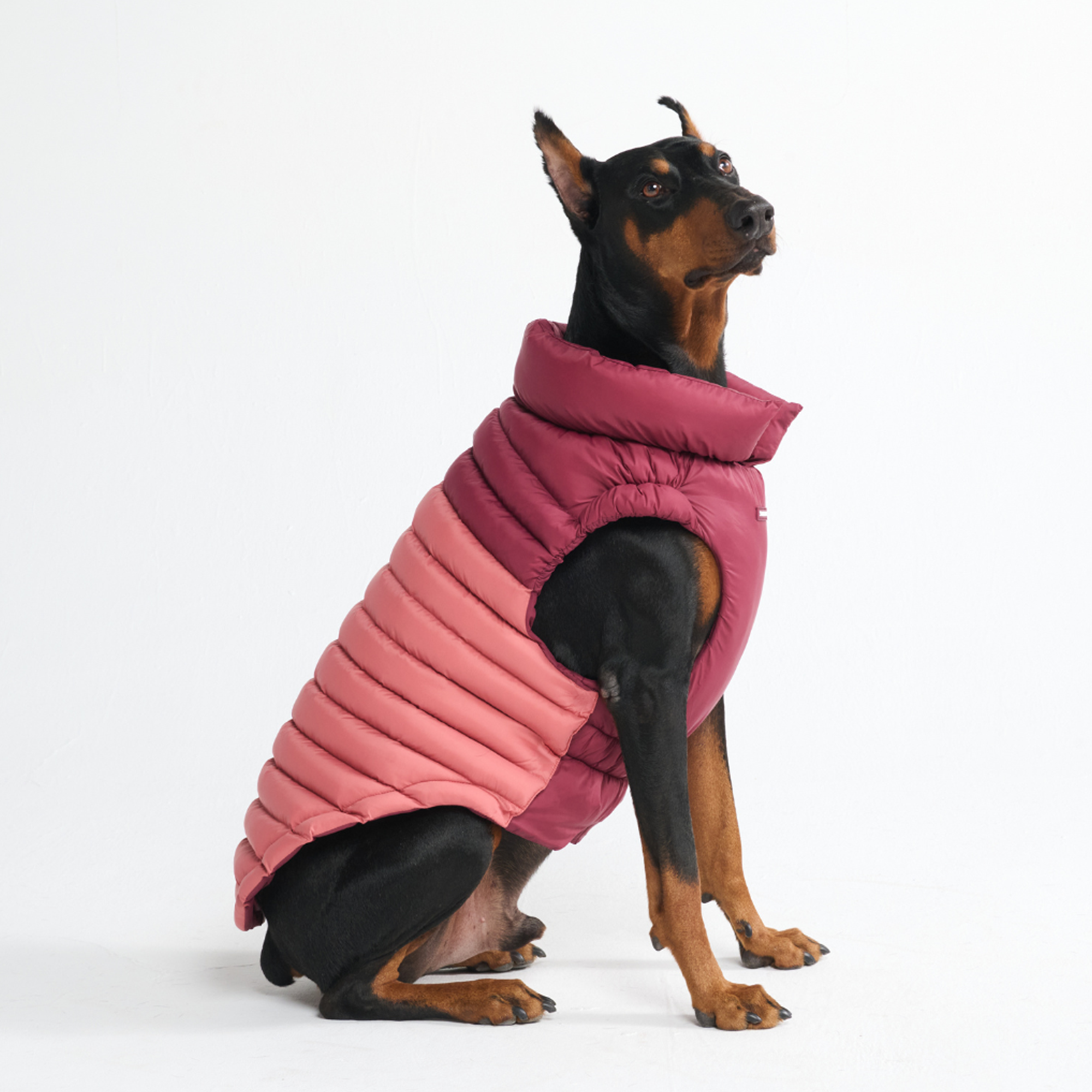 PuffShield Winter Jacket - Red - Image 4