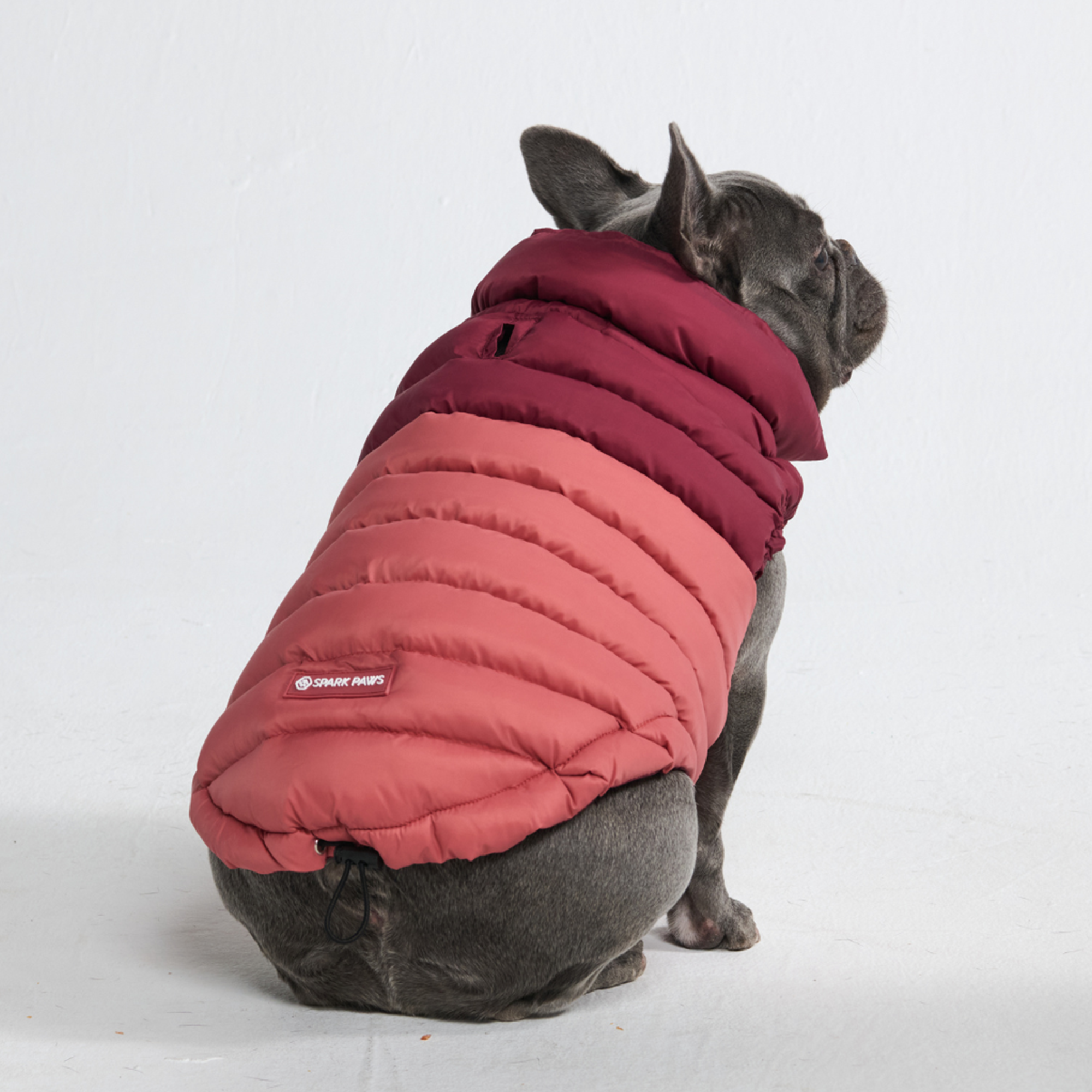PuffShield Winter Jacket - Red - Image 3
