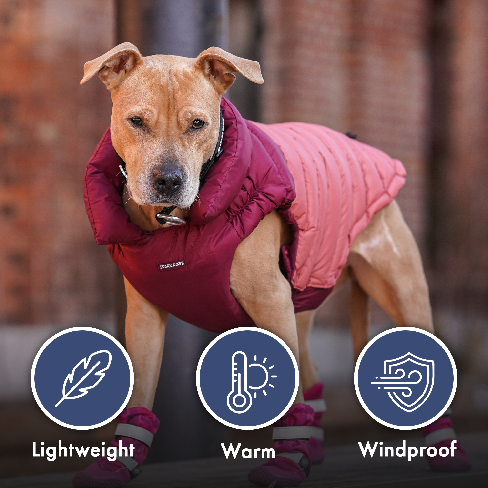 PuffShield Winter Jacket - Red - Image 8