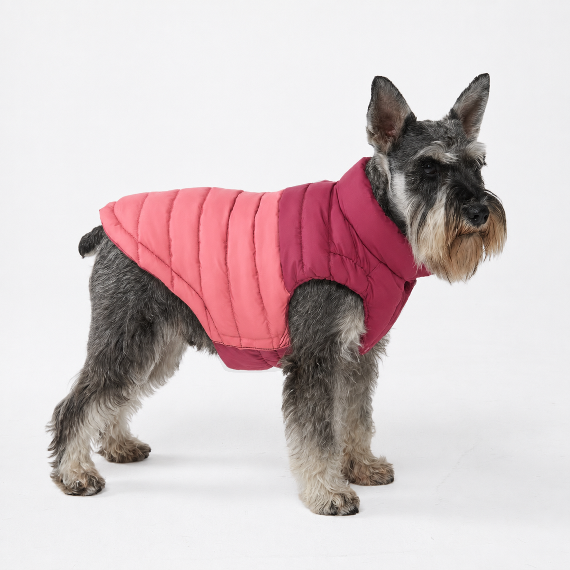 PuffShield Winter Jacket - Red - Image 2