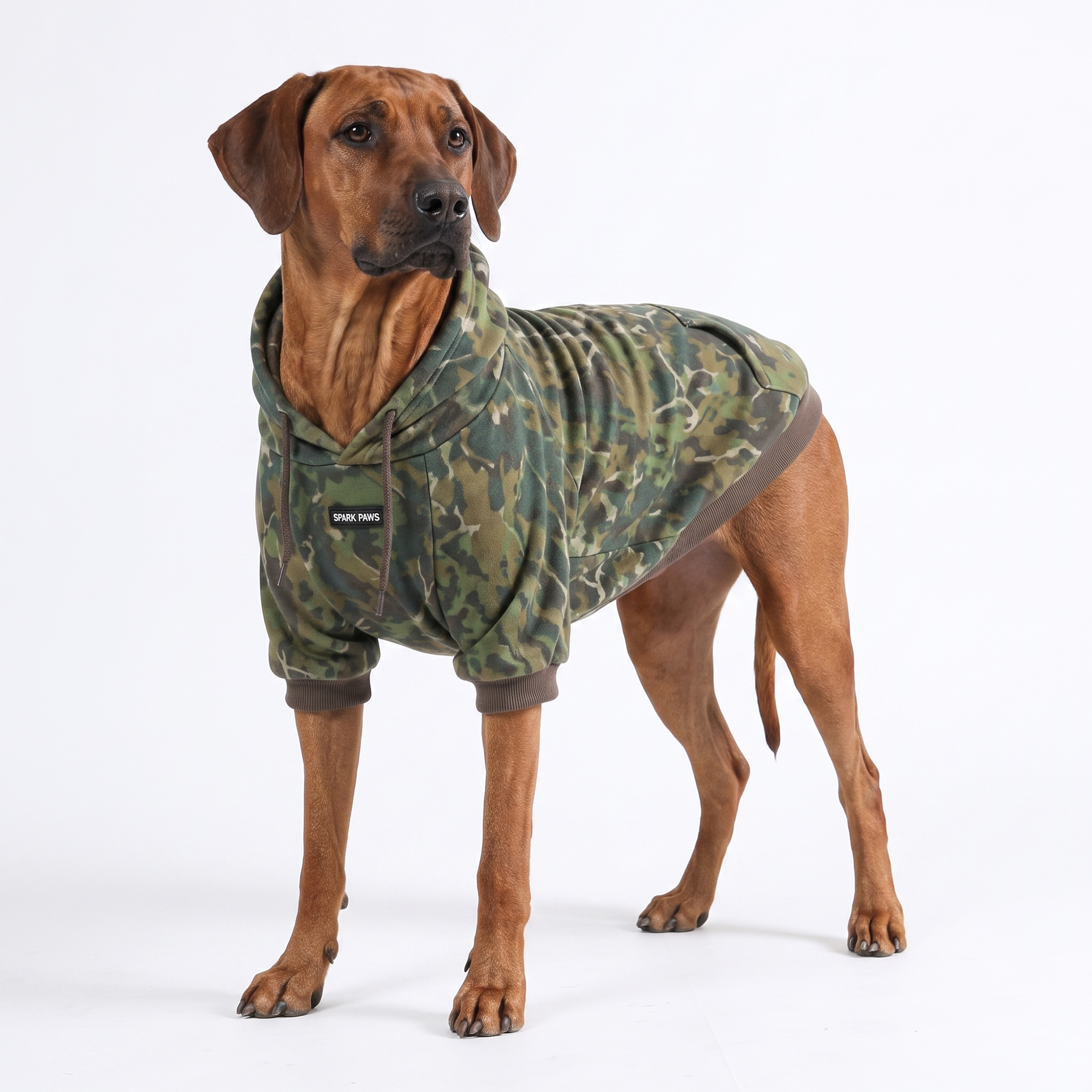 Concrete Wood Dog Hoodie - Moss - Image 9