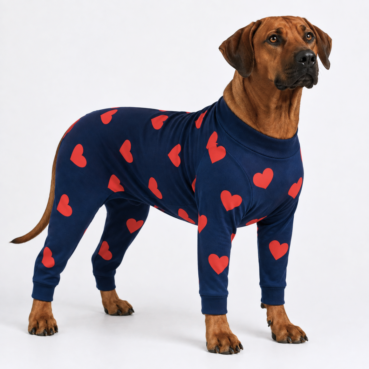 Dog Pajama - Hearts - Image 8