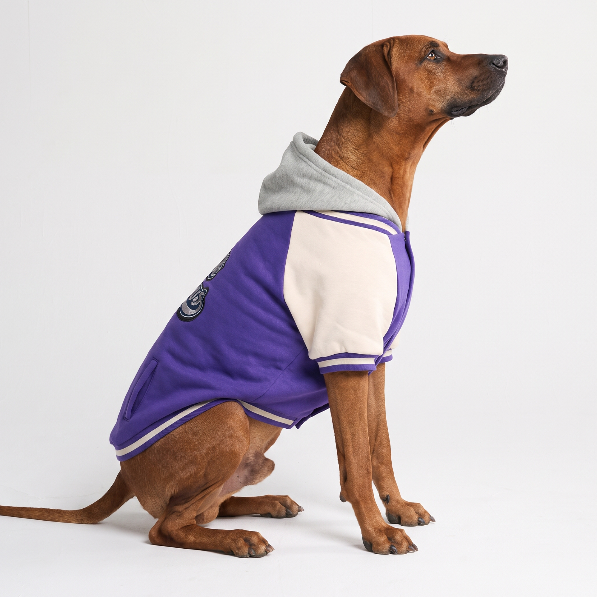 Dog Varsity Jacket - Purple - Image 8