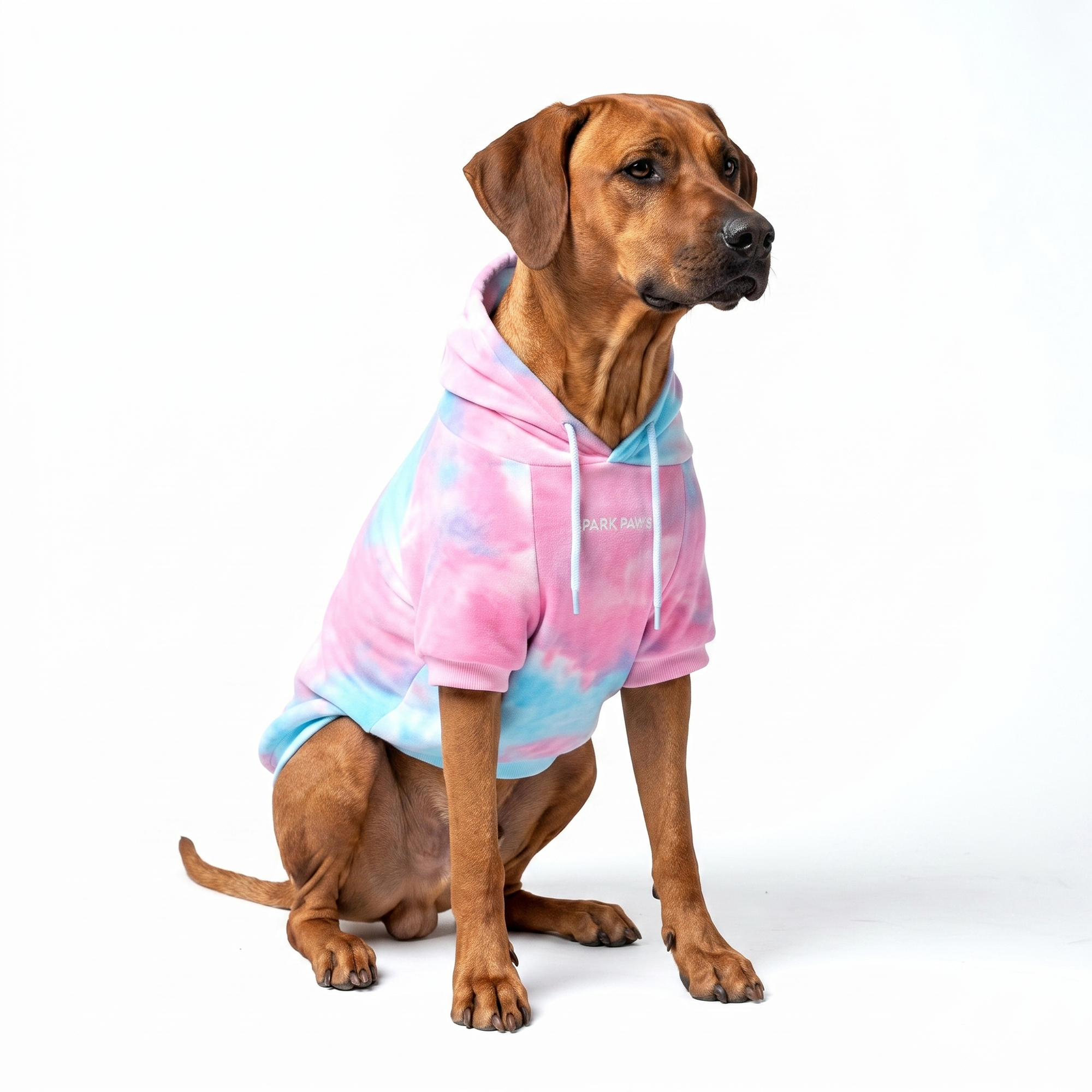Velvet Dog Hoodie - Snow Cone - Image 7