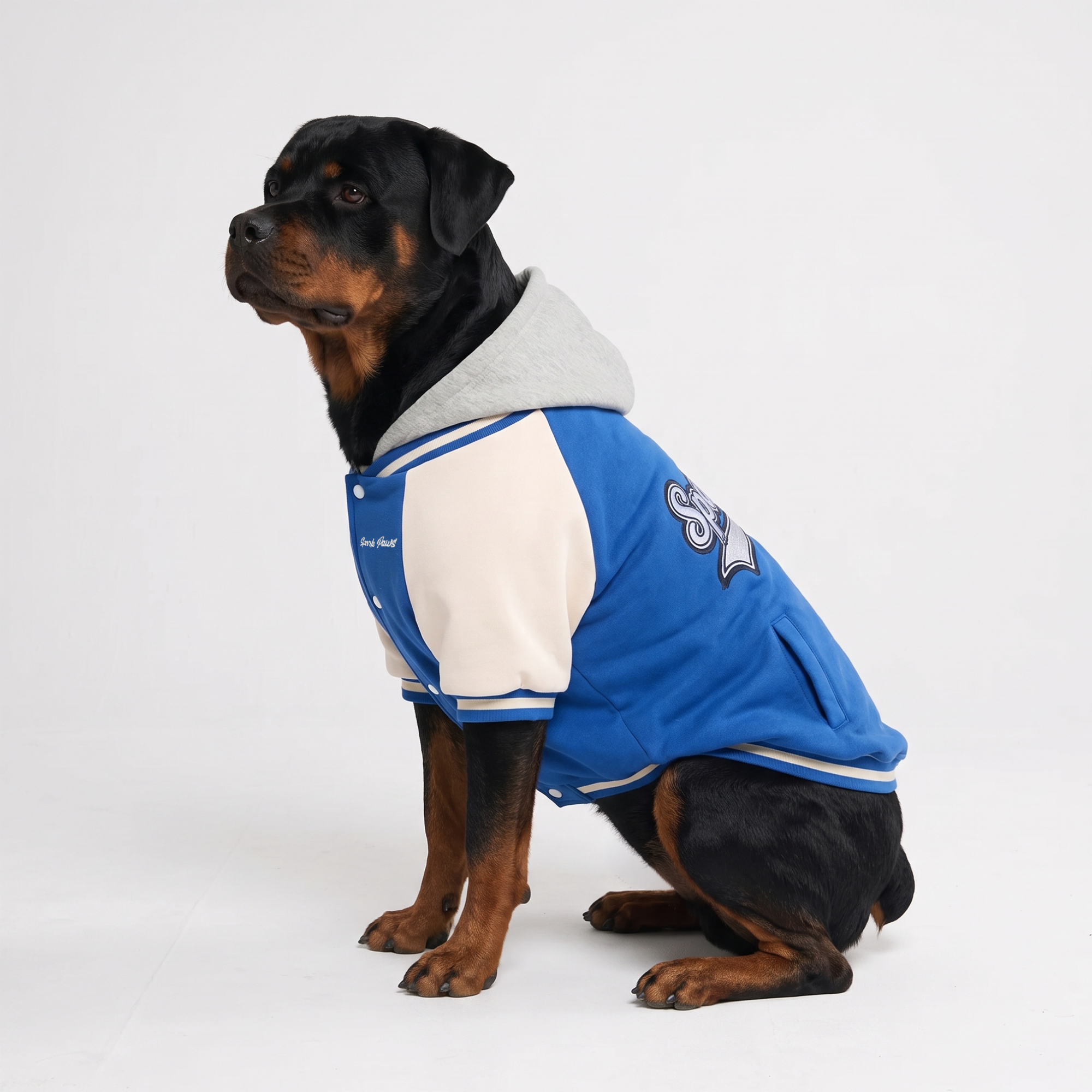 Dog Varsity Jacket - Blue - Image 8
