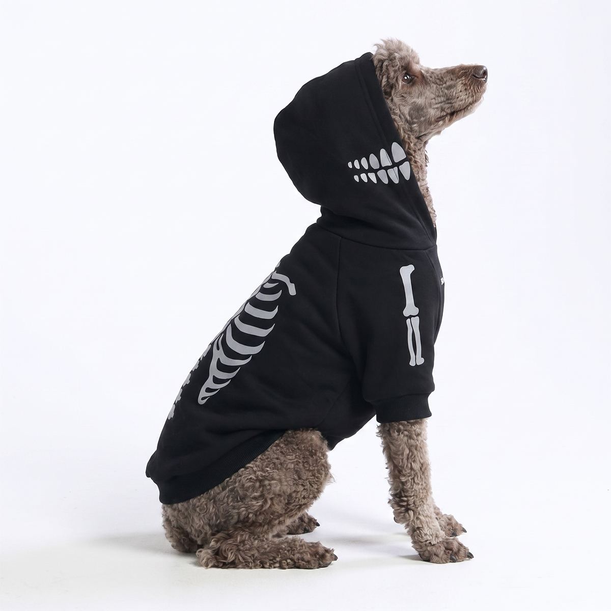 Halloween Dog Hoodie - Reflective Skeleton - Image 5