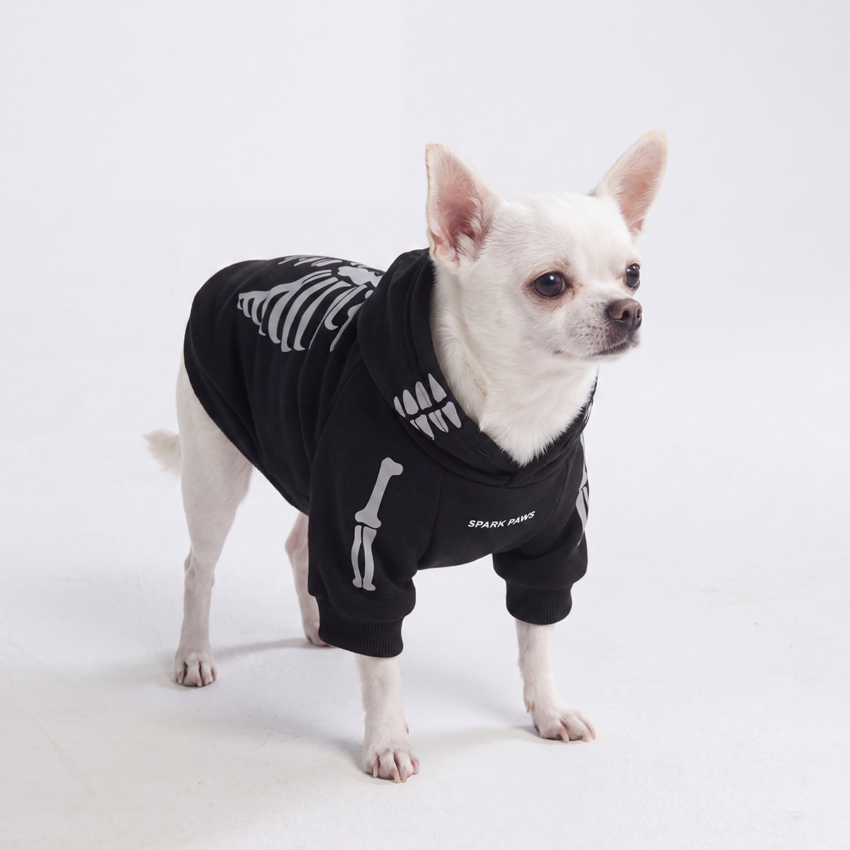 Halloween Dog Hoodie - Reflective Skeleton - Image 2