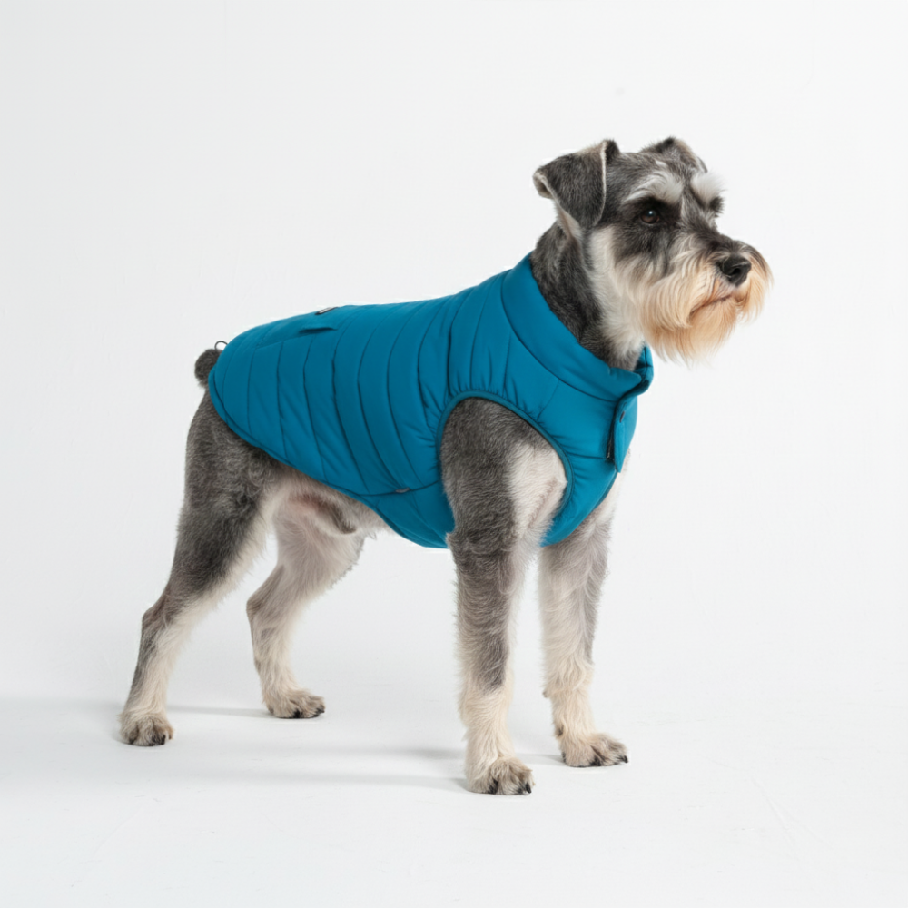 WarmShield Water-Resistant Jacket - Teal - Image 2