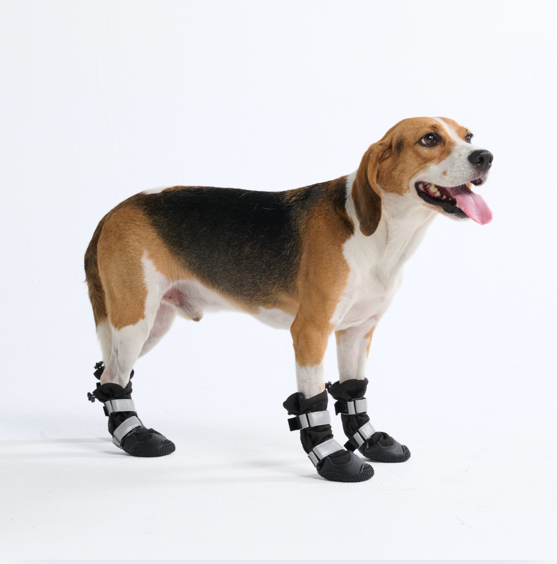 Dog Rainboots. Waterproof Dog Shoes - Black - Image 5