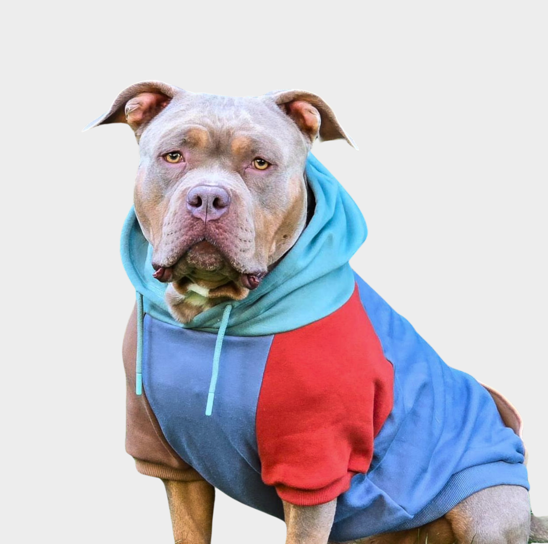 Alpine Human Hoodie - Image 3