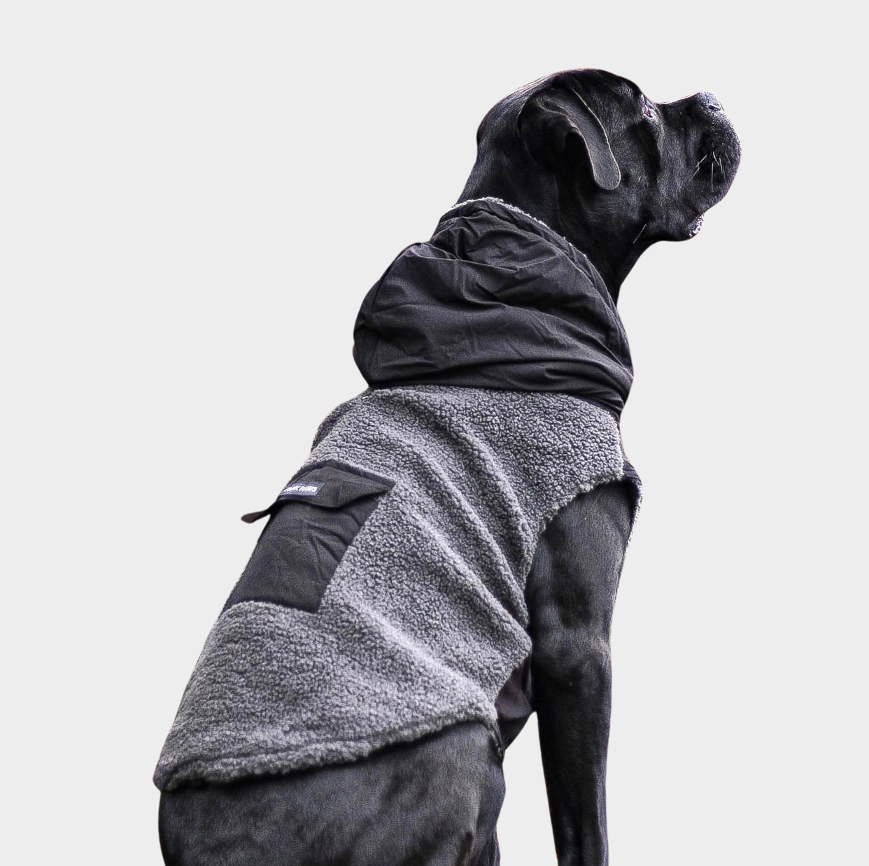 Reversible Sherpa Jacket - Grey and Black - Image 9