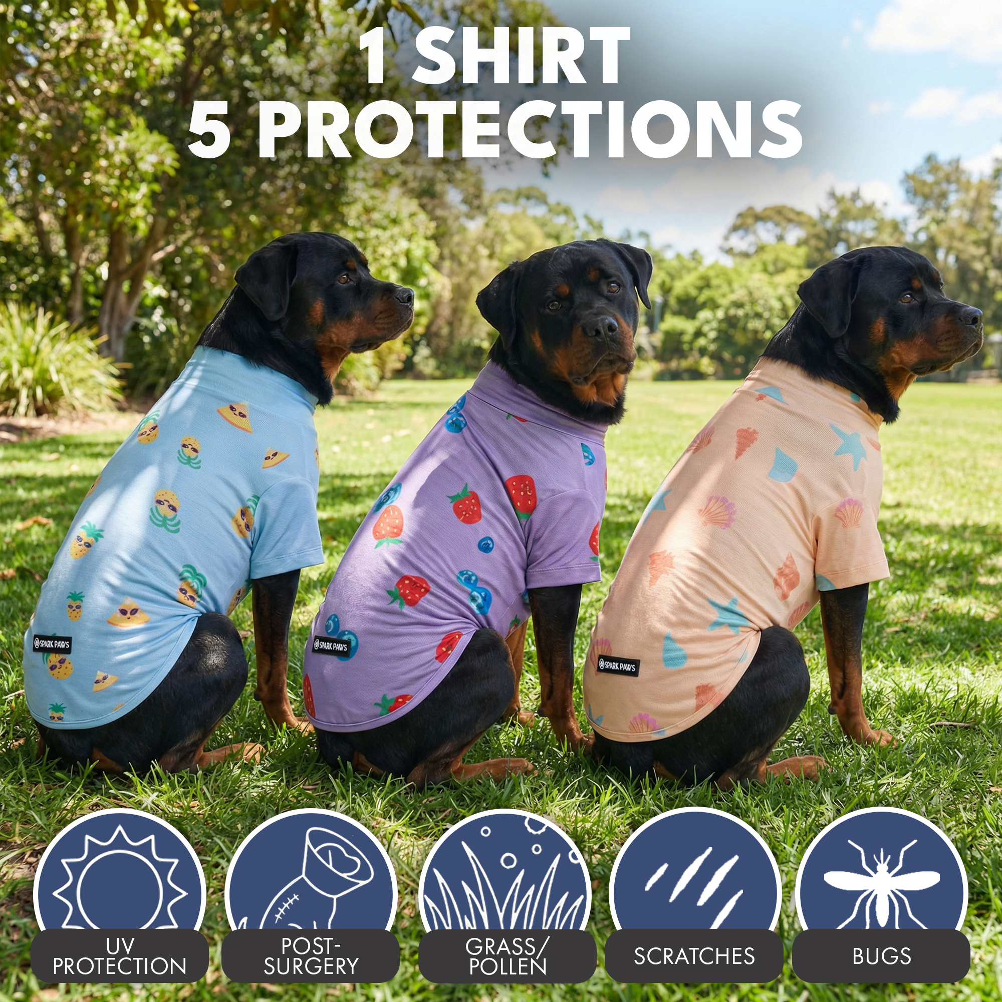 Sunblock Dog T-Shirt (3-pack) - Seashell. Berries. Pineapple - Image 7