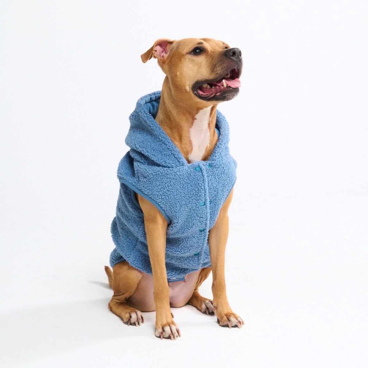 Teddy Sherpa Dog Jacket - Blue - Image 3