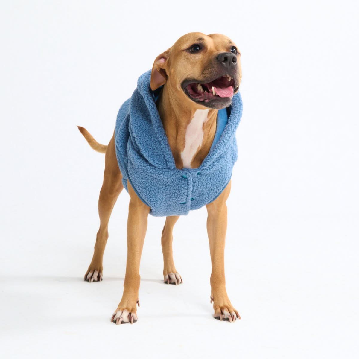 Teddy Sherpa Dog Jacket - Blue - Image 4