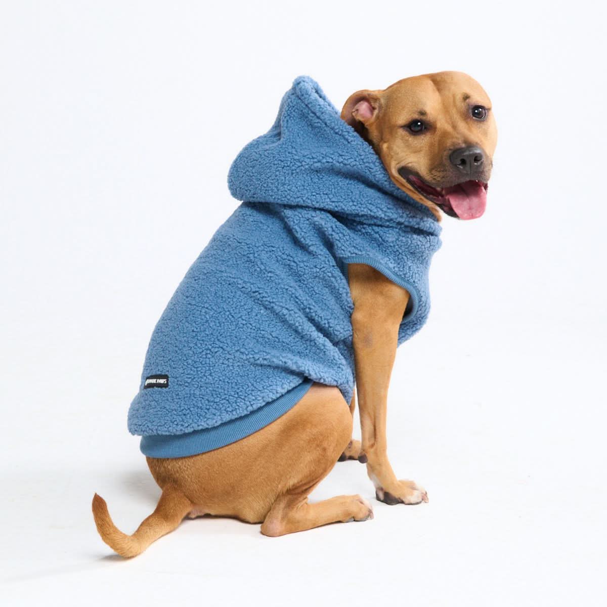Teddy Sherpa Dog Jacket - Blue - Image 6