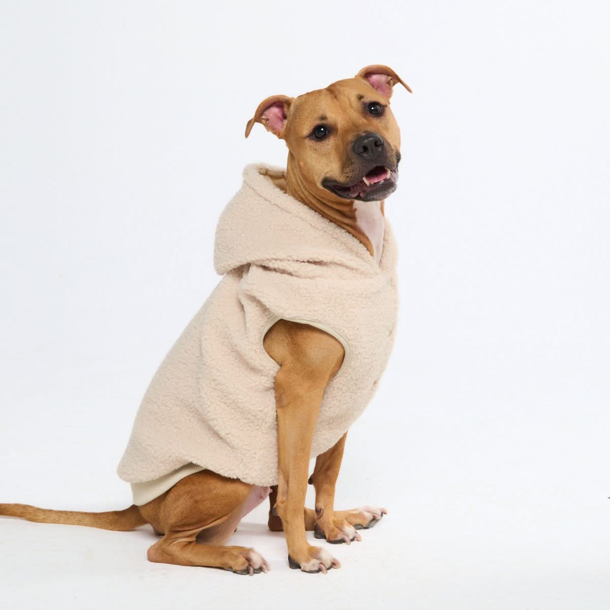 Teddy Sherpa Dog Jacket - Beige - Image 3