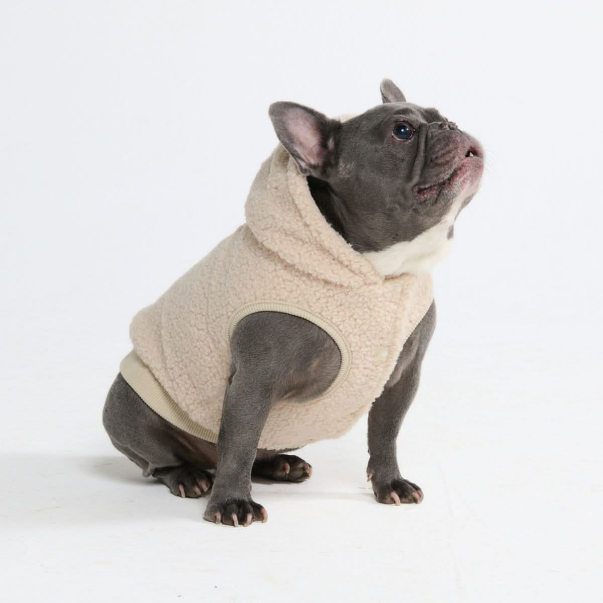 Teddy Sherpa Dog Jacket - Beige - Image 5