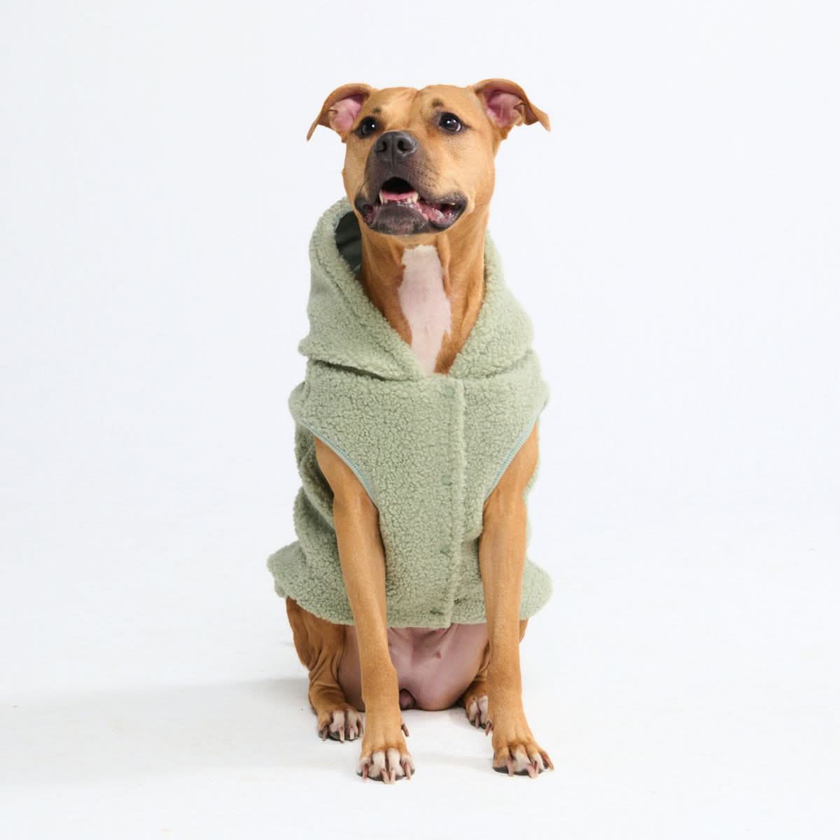 Teddy Sherpa Dog Jacket - Light Green - Image 9