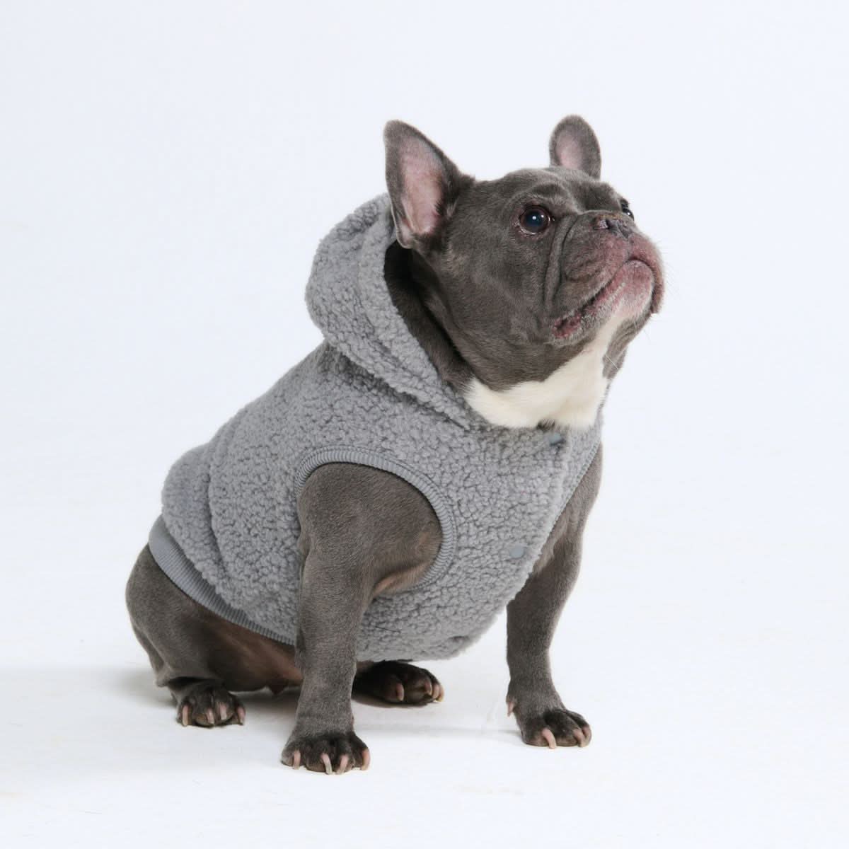 Teddy Sherpa Dog Jacket - Silver Gray - Image 9