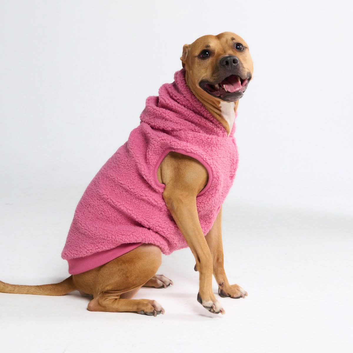 Teddy Sherpa Dog Jacket - Dark Pink - Image 3