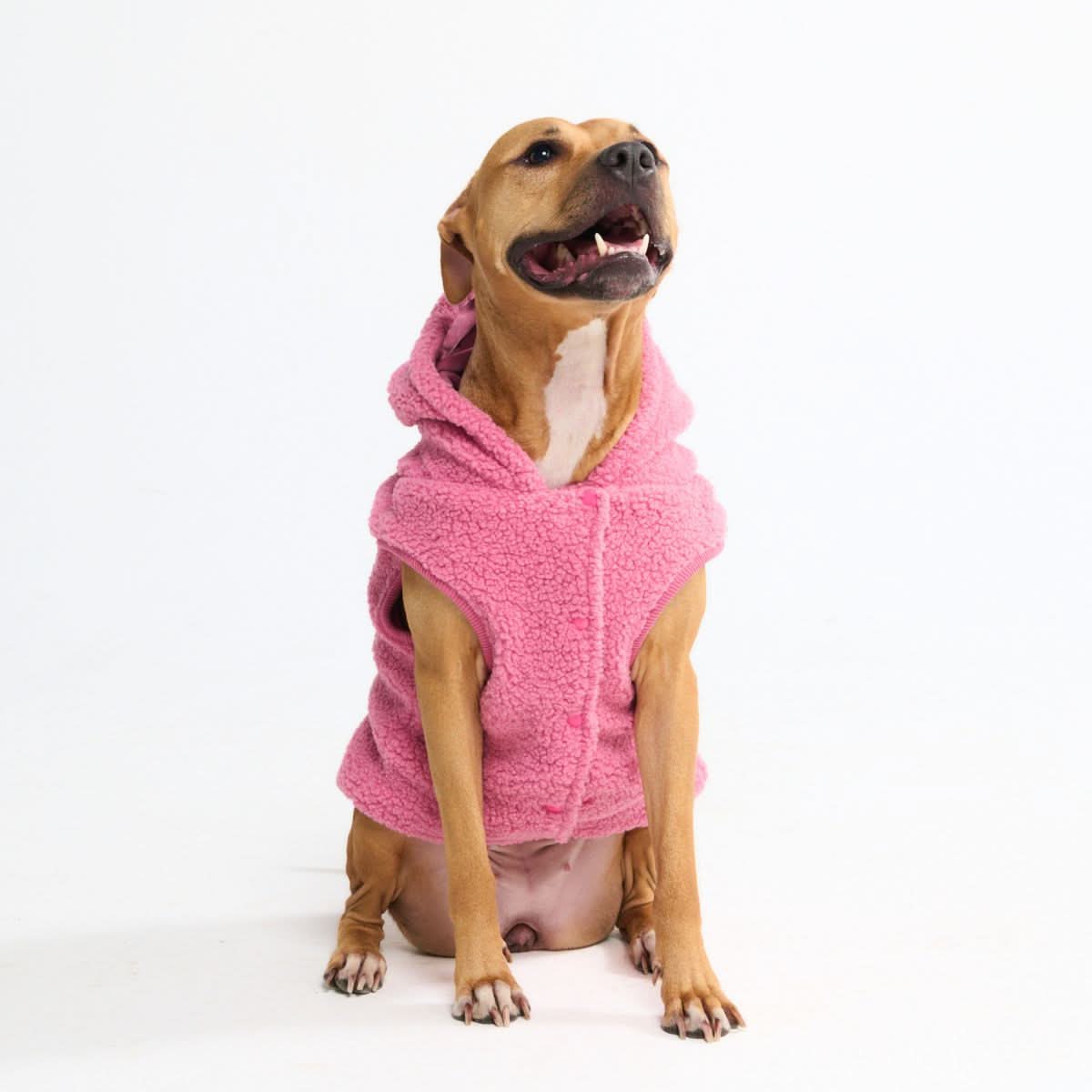 Teddy Sherpa Dog Jacket - Dark Pink - Image 4