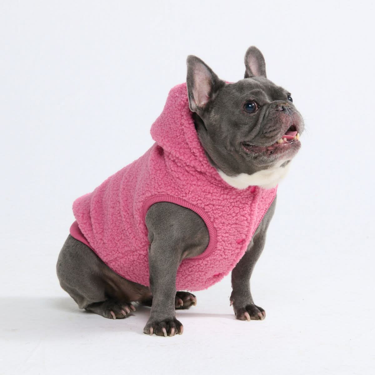 Teddy Sherpa Dog Jacket - Dark Pink - Image 7