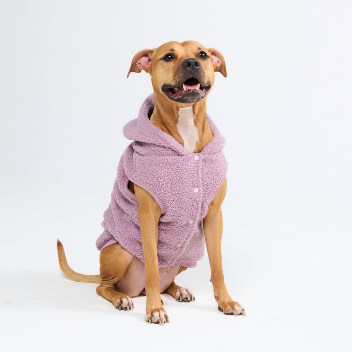 Teddy Sherpa Dog Jacket - Taupe - Image 11