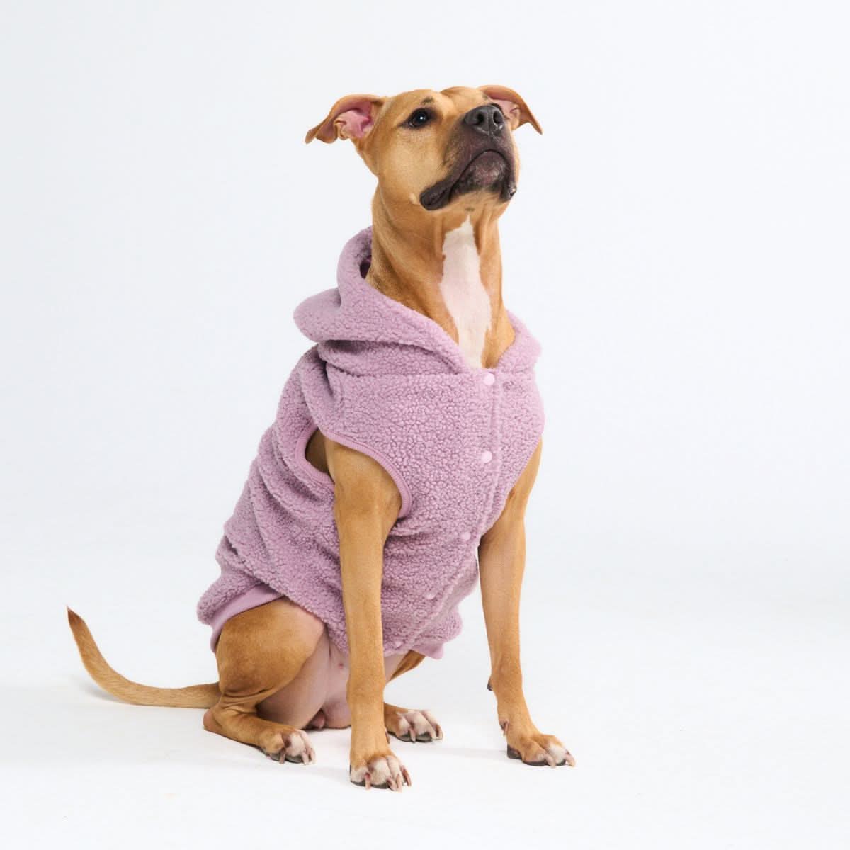 Teddy Sherpa Dog Jacket - Taupe - Image 10