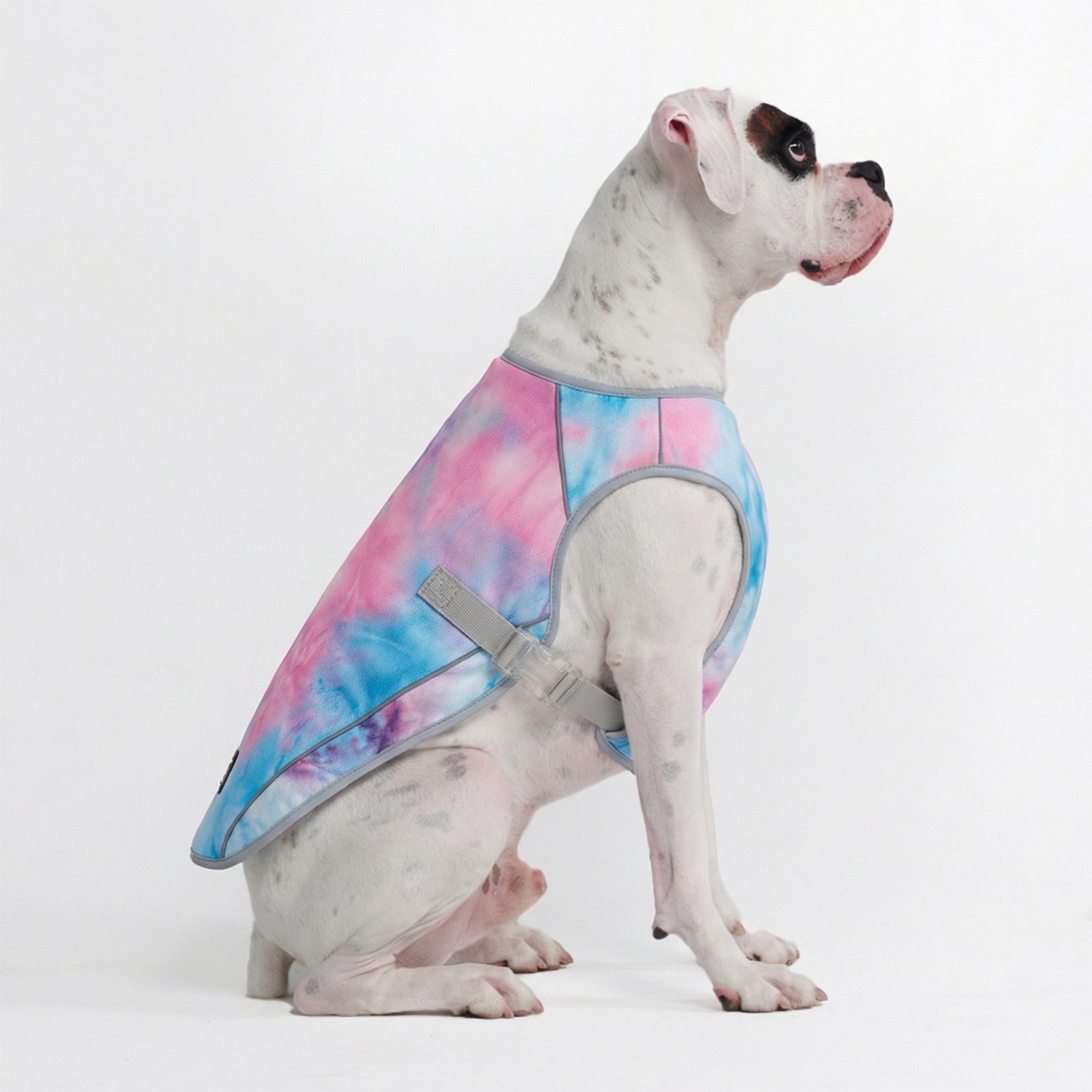 Dog Cooling Vest - Snow Cone - Image 3