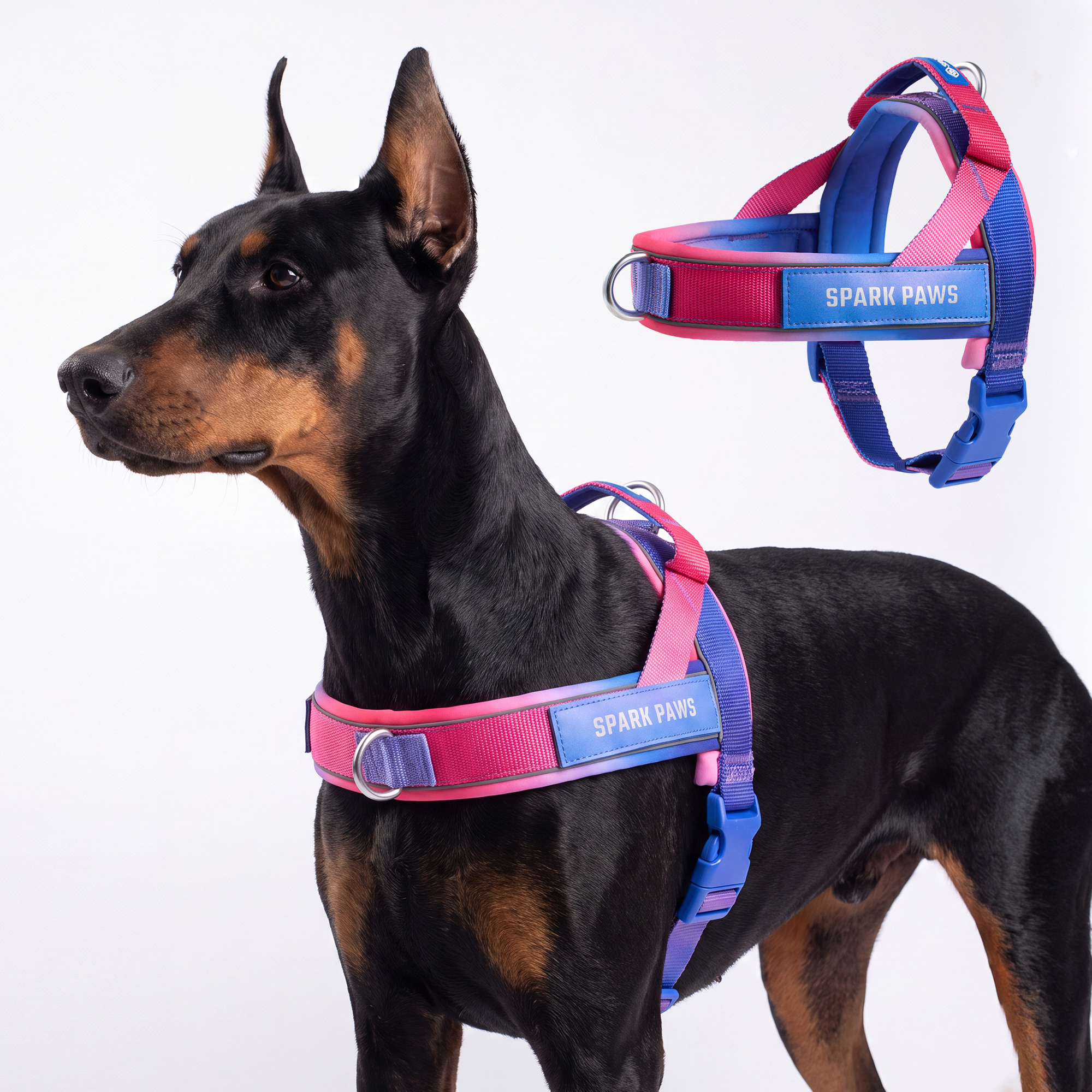 Grab & Go Harness - Snow Cone - Image 6