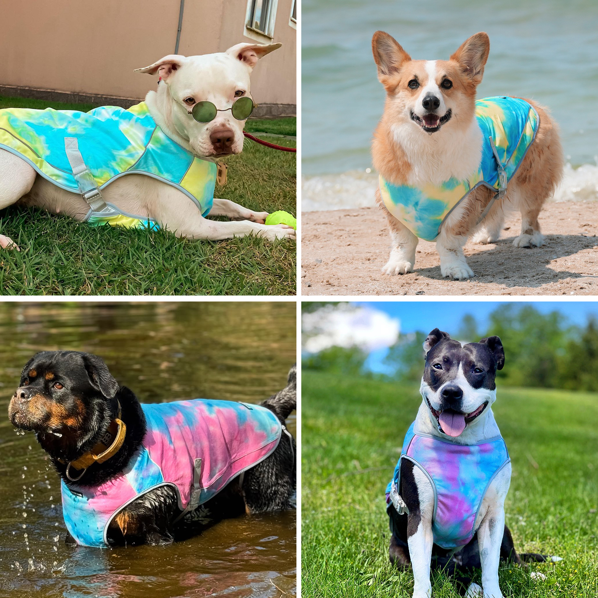 Dog Cooling Vest (2-pack) - Snow Cone & Tropical Storm - Image 6