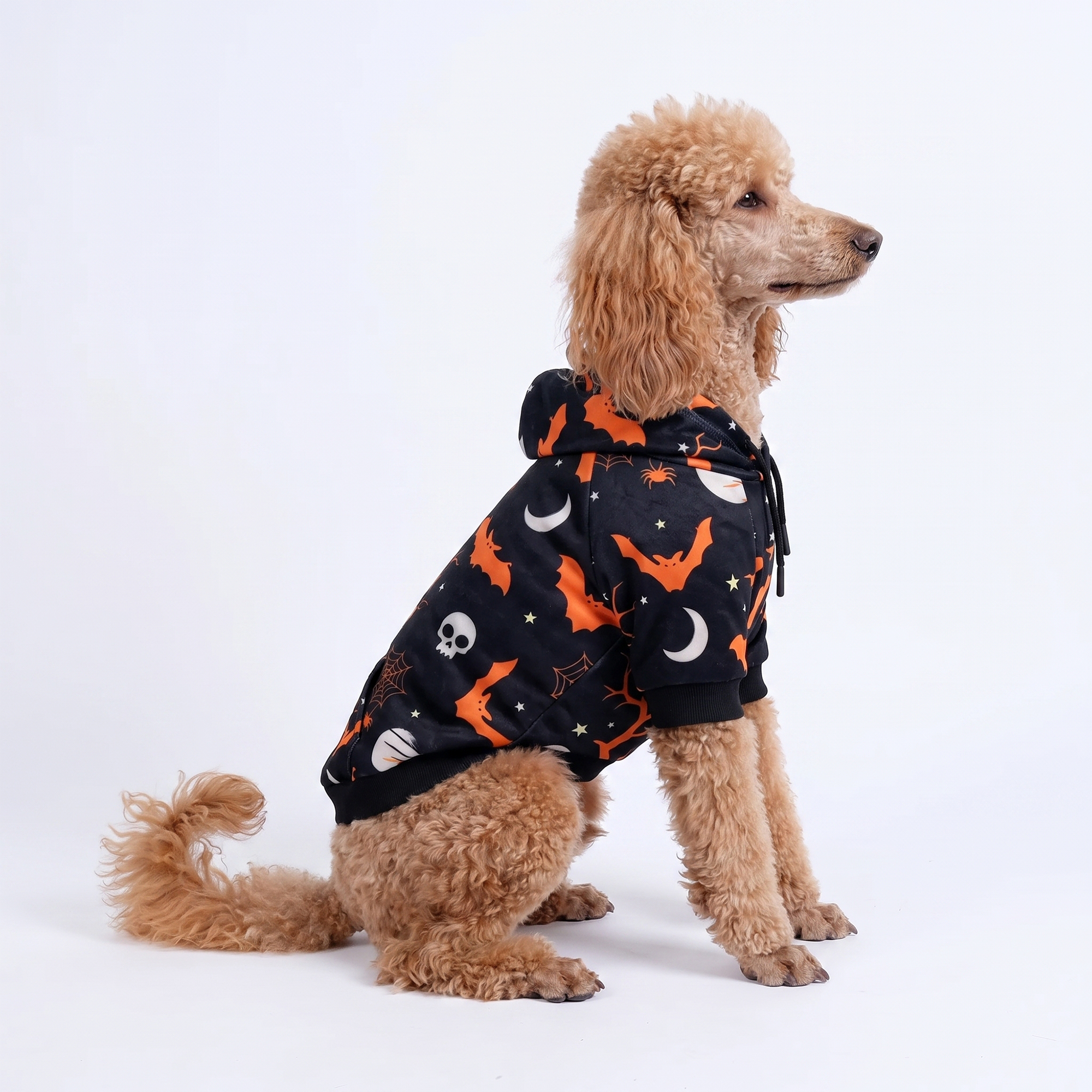 Halloween Dog Hoodie - Black - Image 6