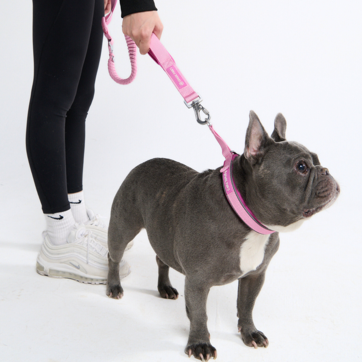 Multipurpose Seatbelt Handsfree Leash & Poop Bag Holder Set - Pink - Image 8
