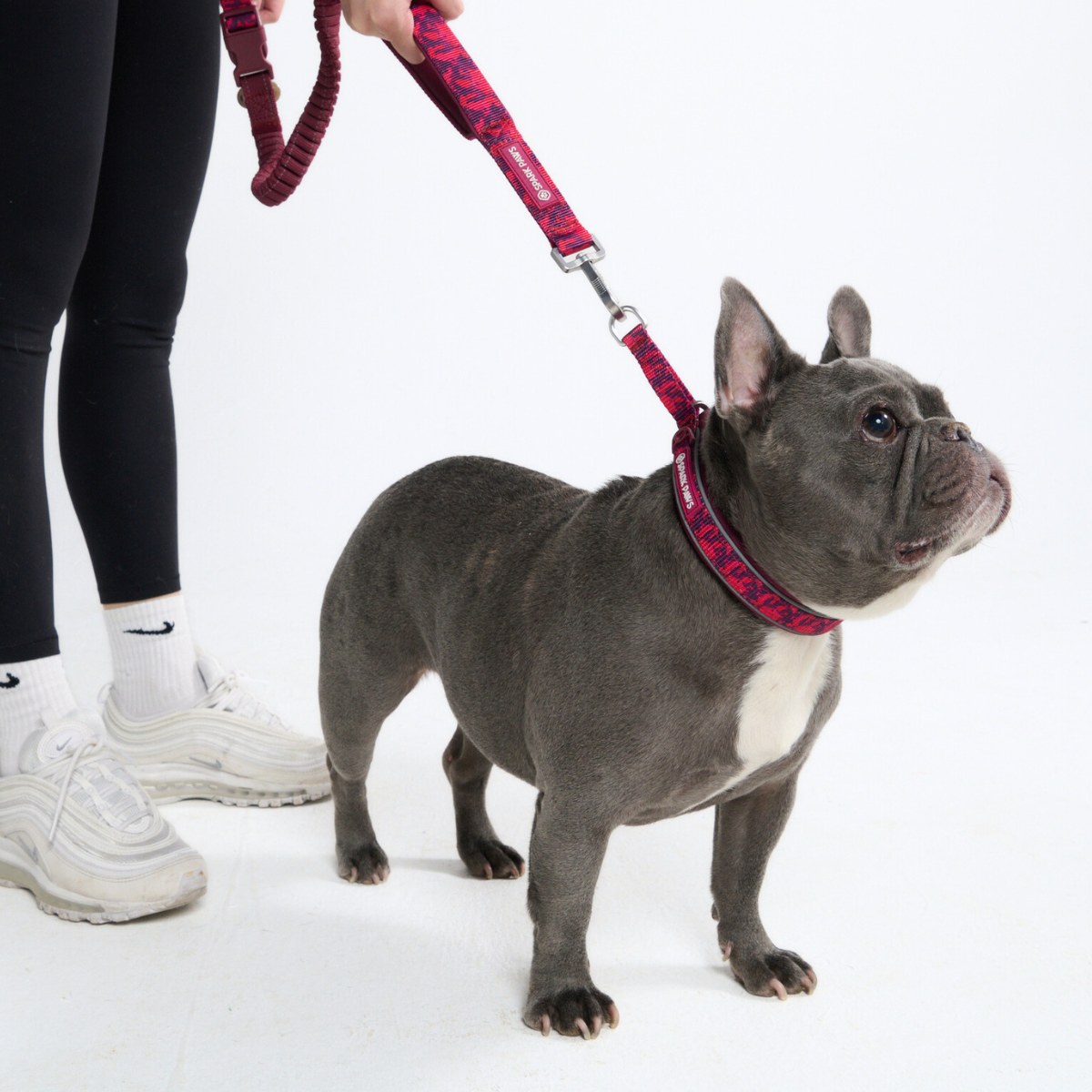 Multipurpose Seatbelt Handsfree Leash & Poop Bag Holder Set - Fuchsia Camo - Image 7
