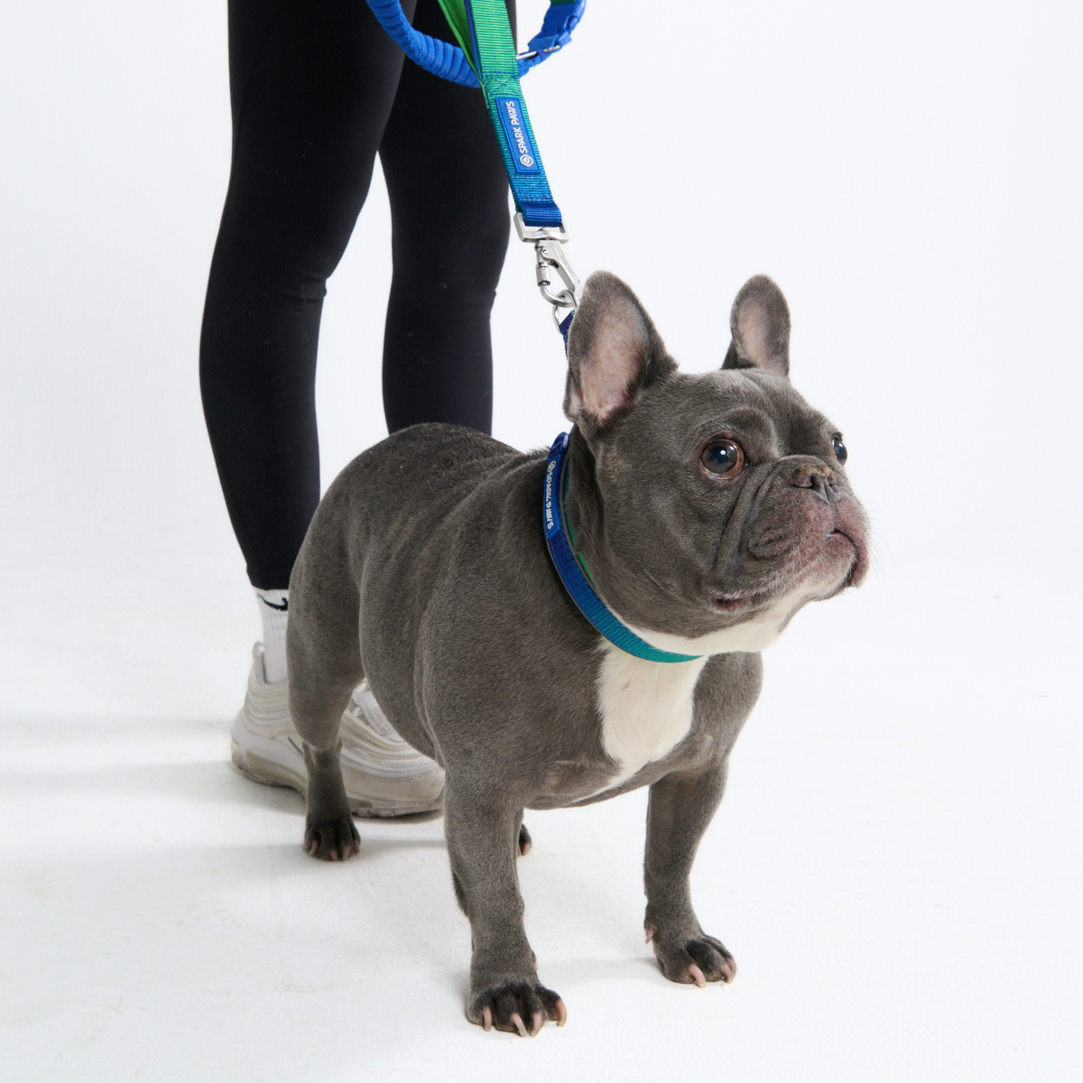 Multipurpose Seatbelt Handsfree Leash & Poop Bag Holder Set - Lime Wave - Image 7