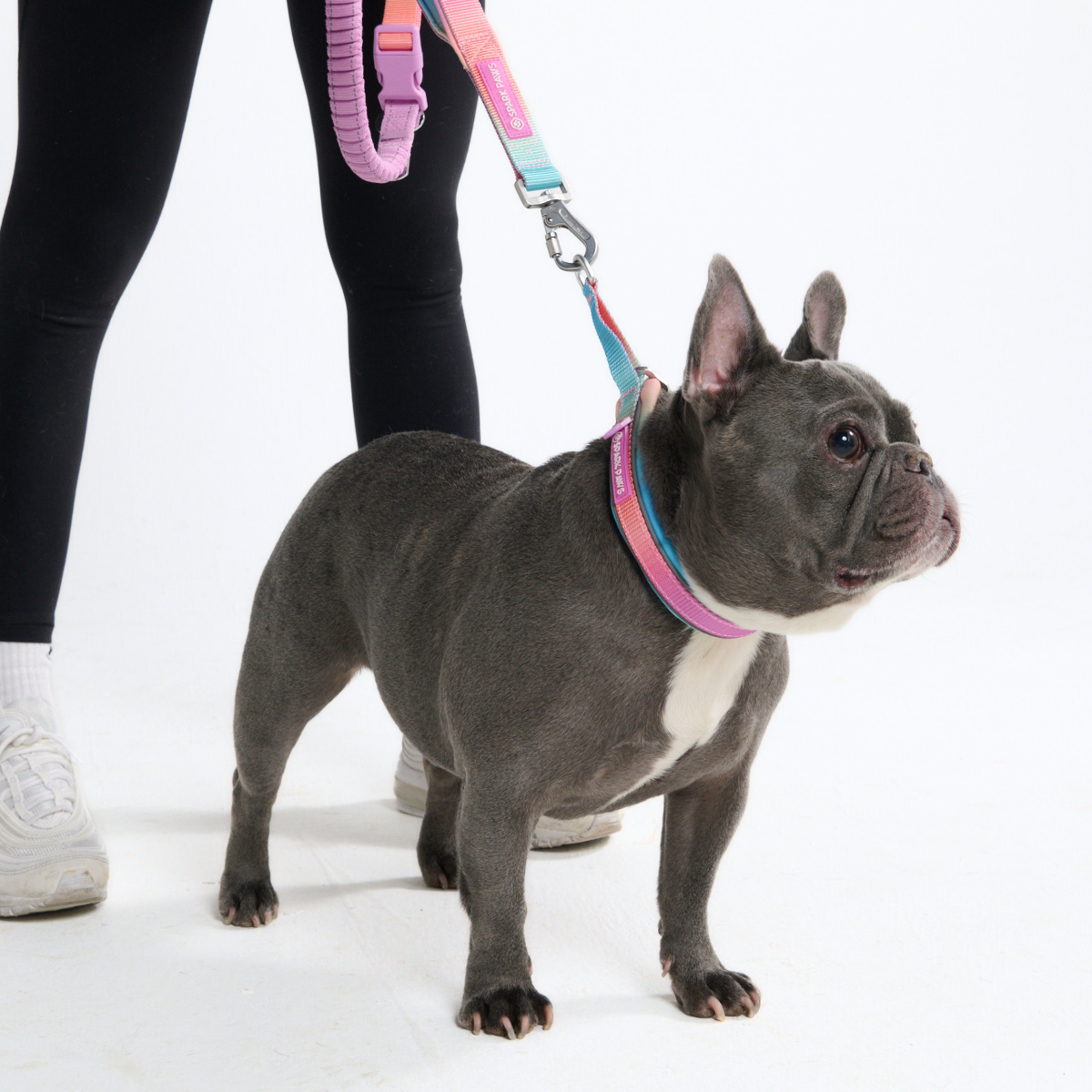 Multipurpose Seatbelt Handsfree Leash & Poop Bag Holder Set - Image 16