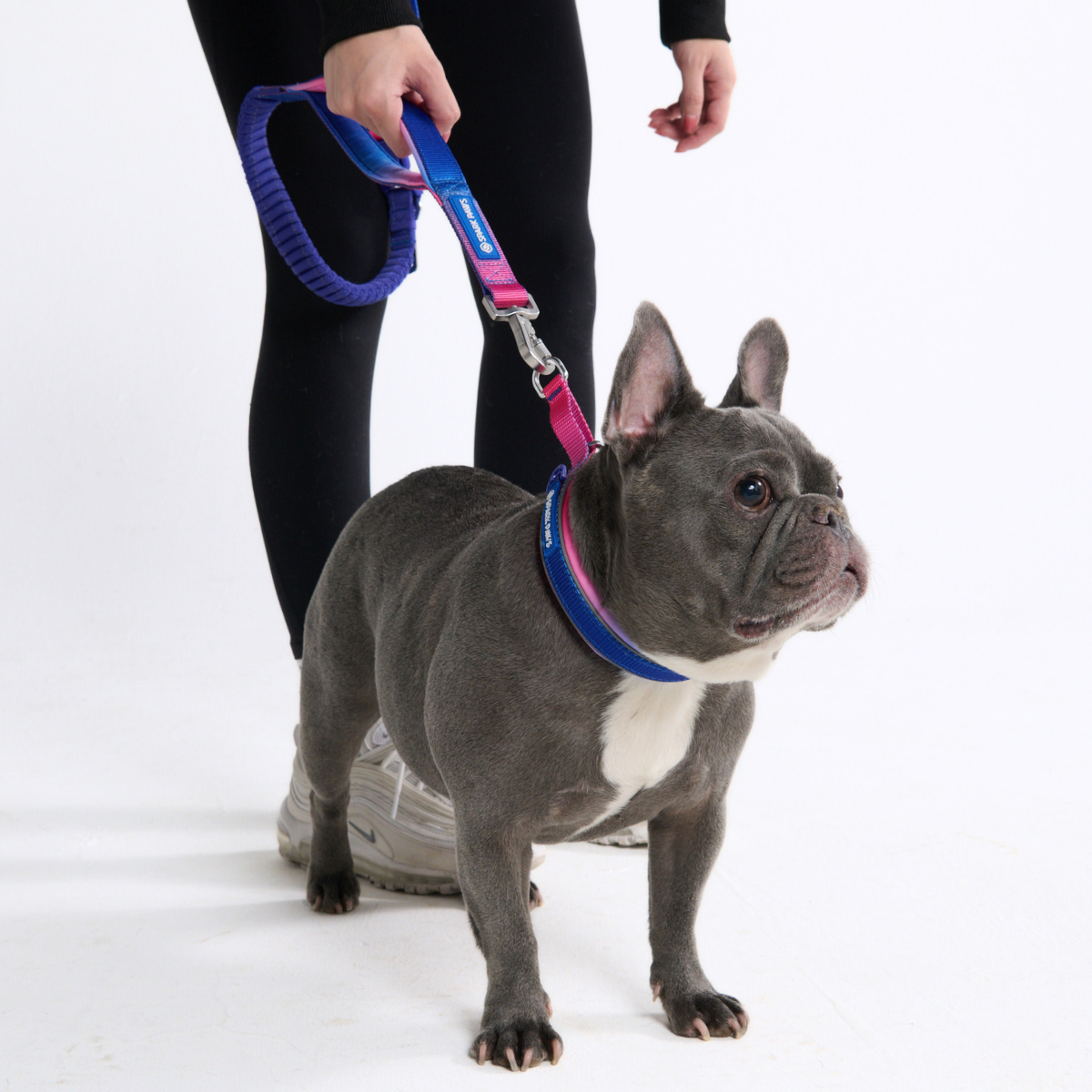 Multipurpose Seatbelt Handsfree Leash & Poop Bag Holder Set - Snow Cone - Image 7