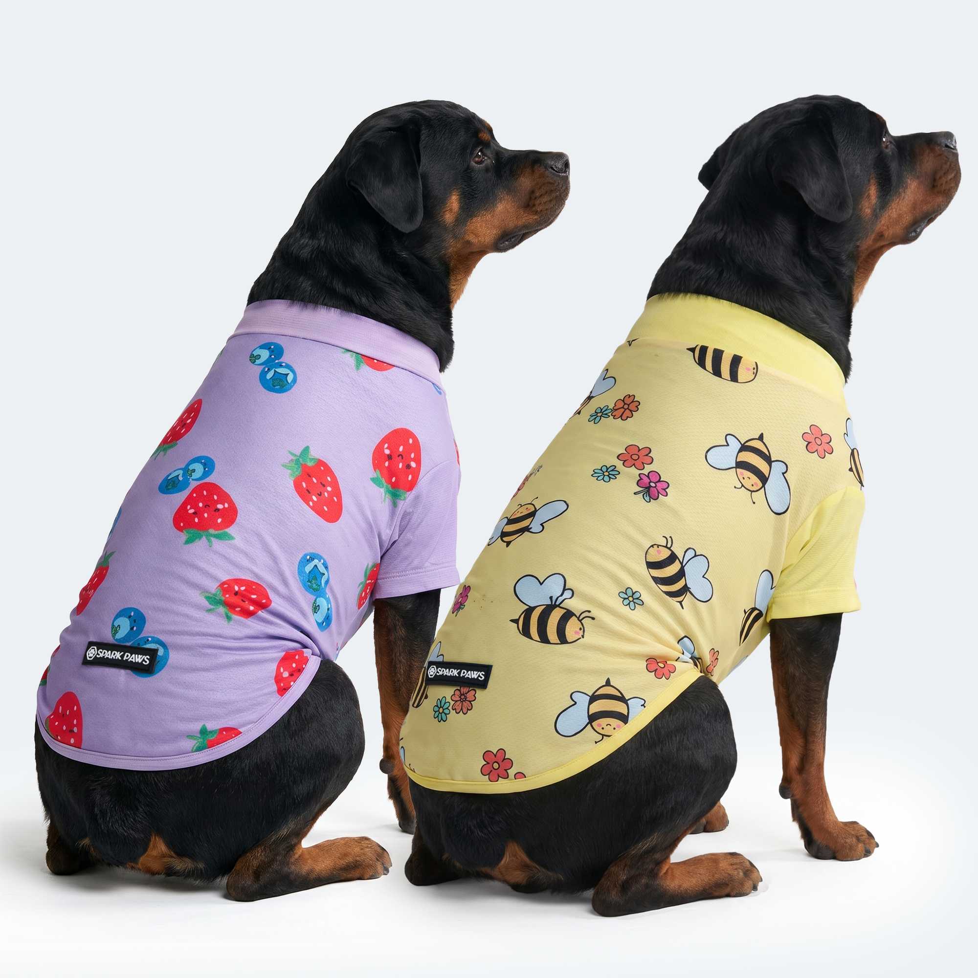 Sunblock Dog T-Shirt (2-pack) - Bees Berries - Image 4